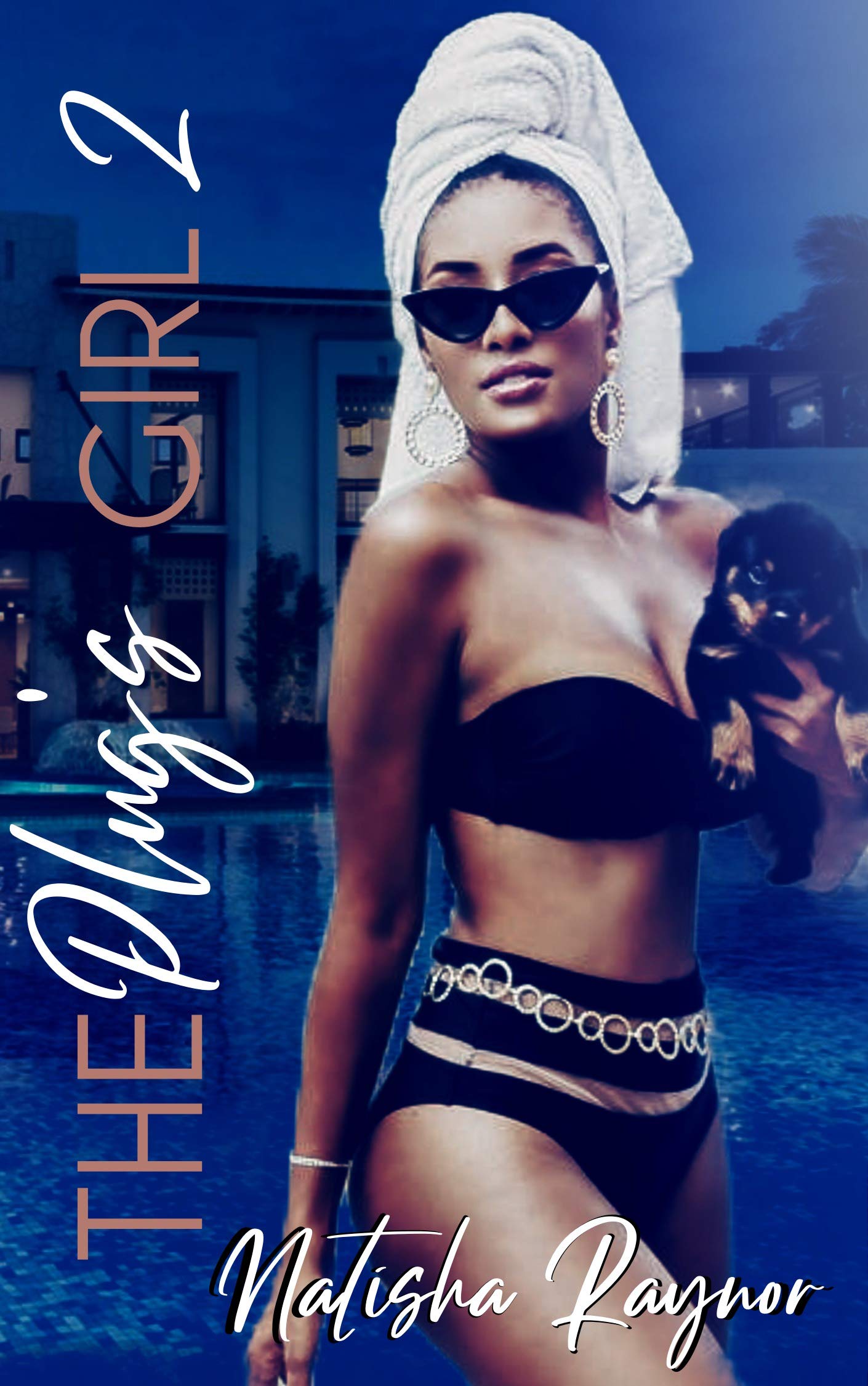 The-Plug's-Girl-II-by-Natisha-Raynor-PDF-EPUB.jpg