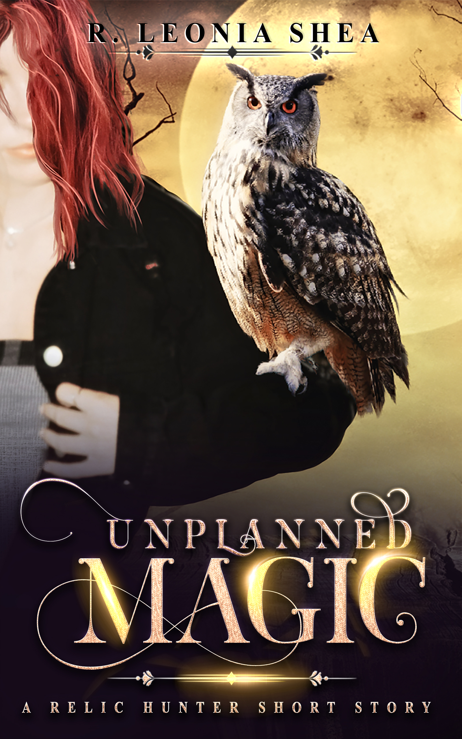 Unplanned-Magic-by-R-Leonia-Shea-PDF-EPUB.jpg