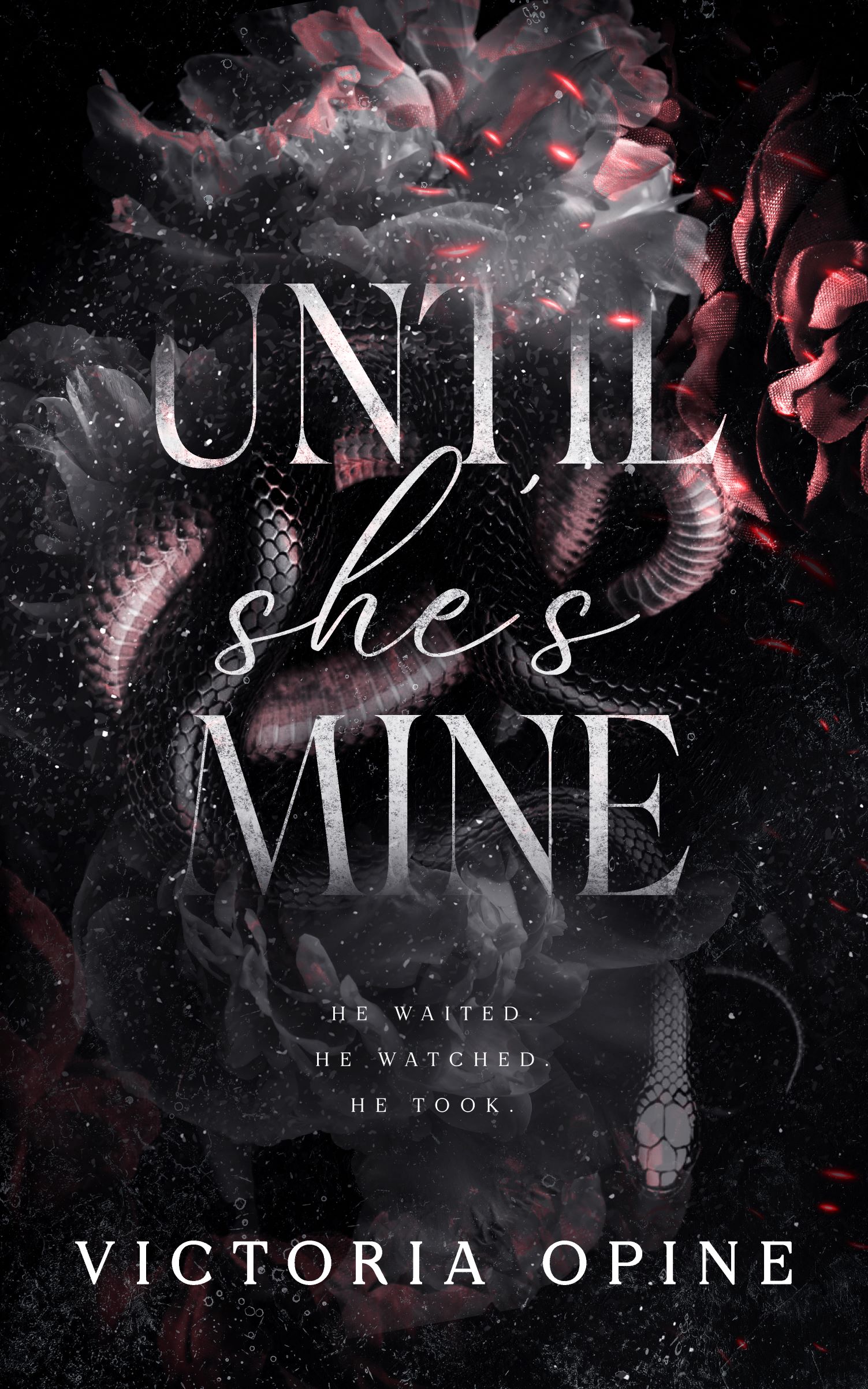 Until-She-s-Mine-by-Victoria-Opine-PDF-EPUB.jpg