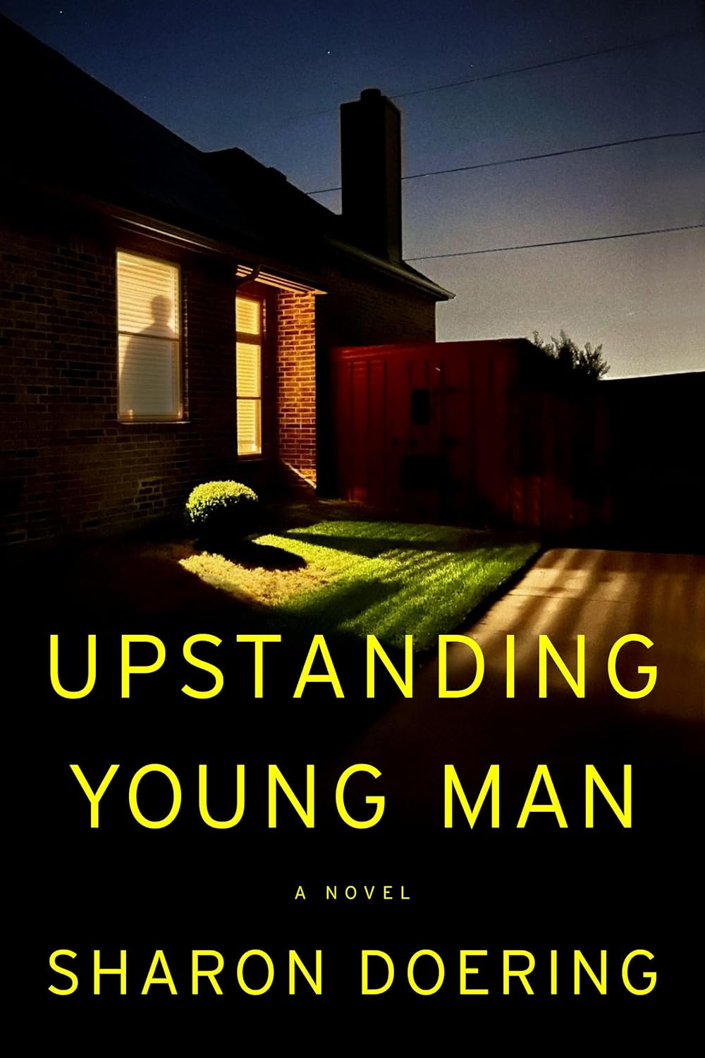 Upstanding-Young-Man-by-Sharon-Doering-PDF-EPUB.jpg