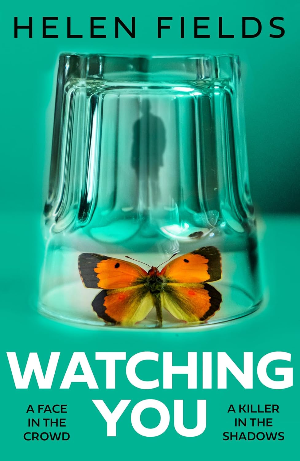 Watching-You-by-Helen-Sarah-Fields-PDF-EPUB.jpg