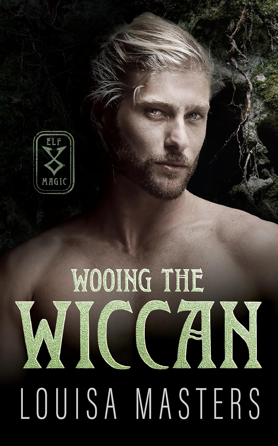 Wooing-The-Wiccan-by-Louisa-Masters-PDF-EPUB.jpg