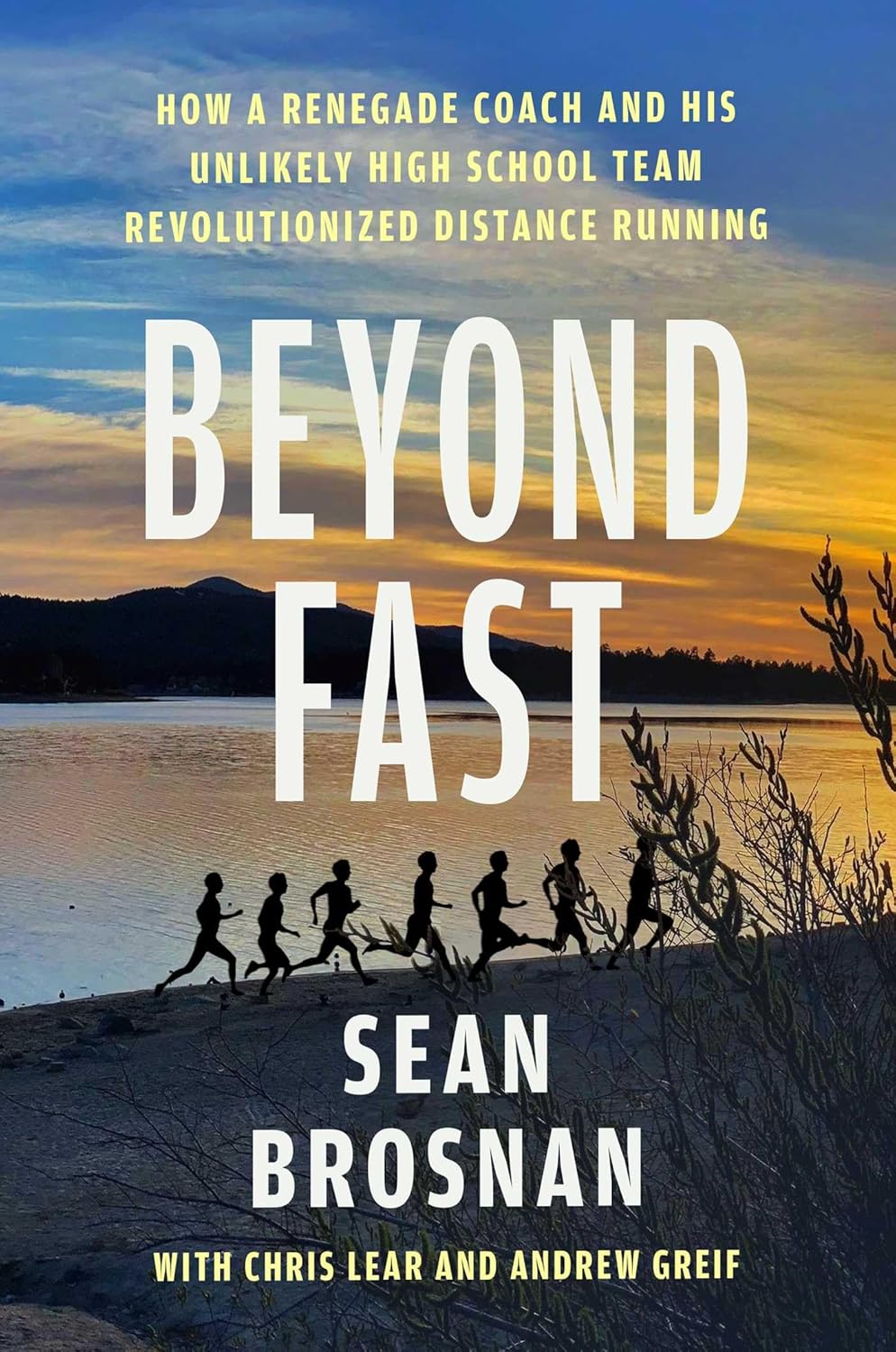 Beyond-Fast--How-a-Renegade-Coach-and-His-Unlikely-High-School-Team-Revolutionized-Distance-by-Sean-Brosnan-PDF-EPUB.jpg