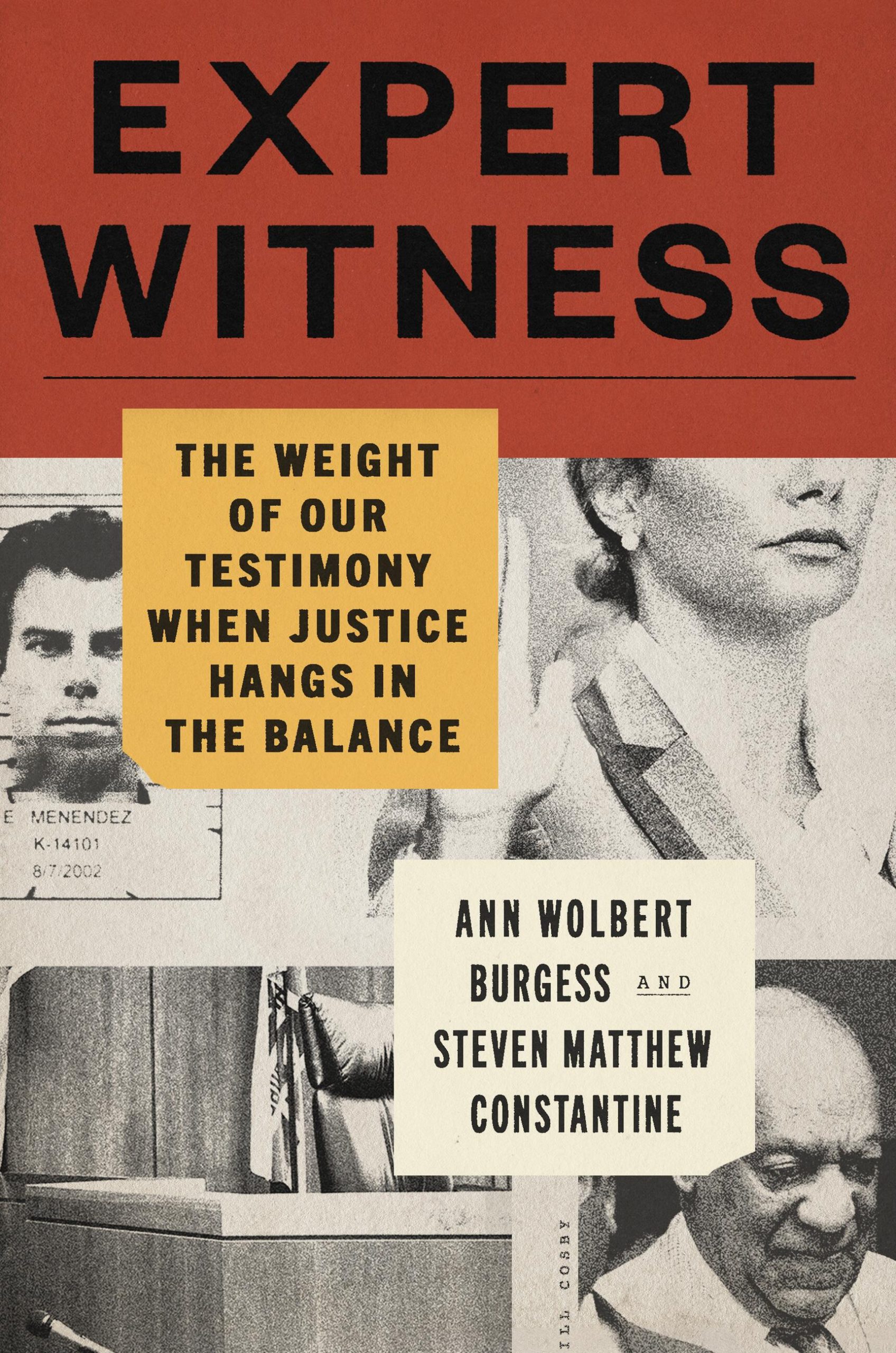 Expert-Witness--The-Weight-of-Our-Testimony-When-Justice-Hangs-in-the-Balance-by-Ann-Wolbert-Burgess-PDF-EPUB.jpg