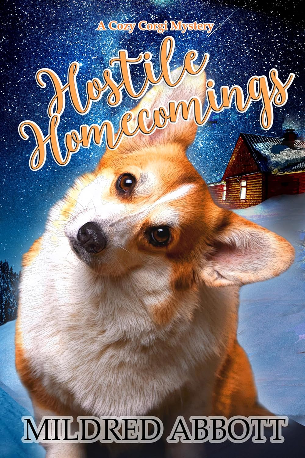 Hostile-Homecomings-by-Mildred-Abbott-PDF-EPUB.jpg