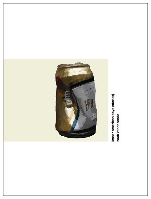 Lesser-American-Boys-by-Zach-VandeZande-PDF-EPUB.jpg