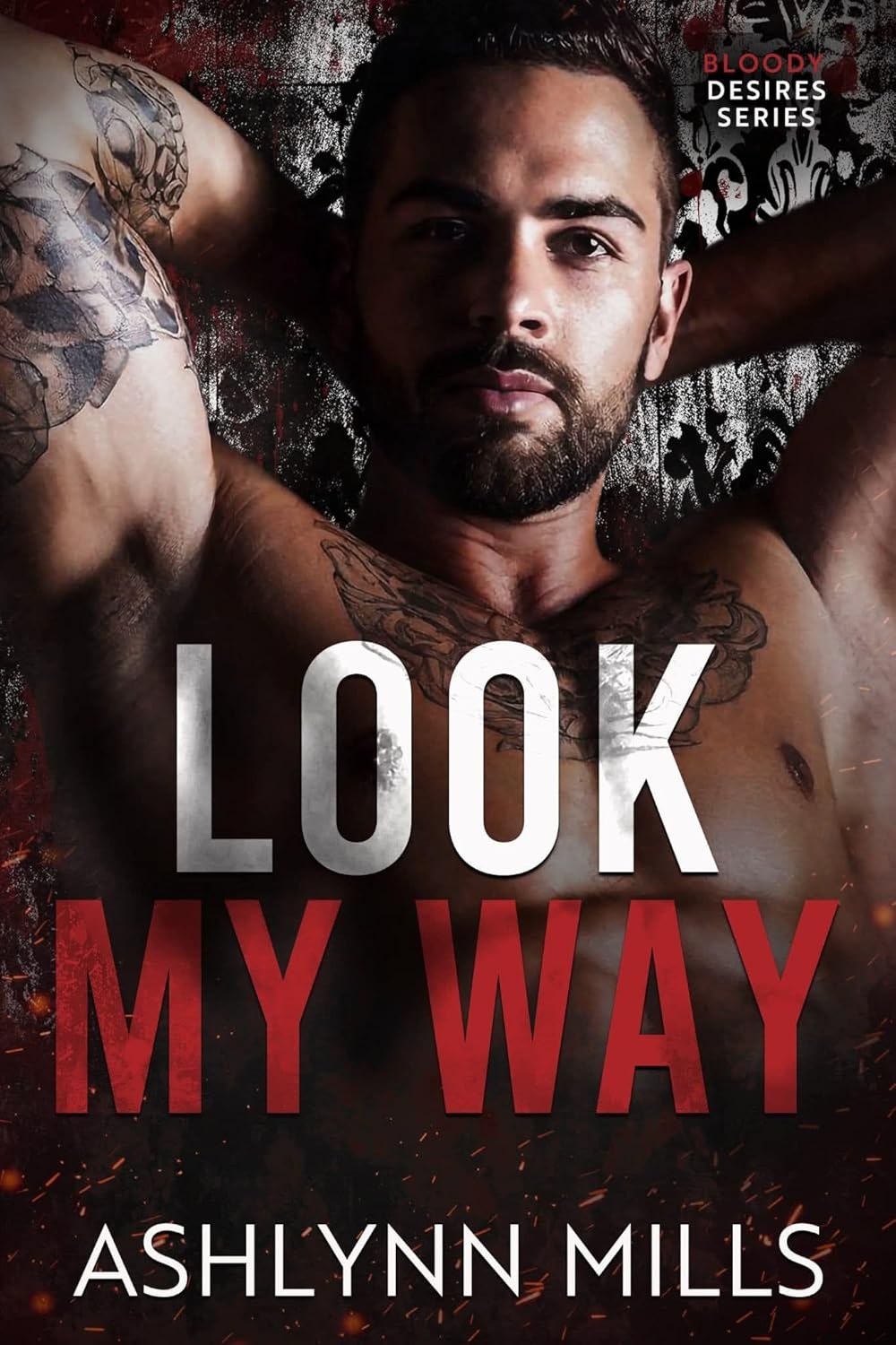 Look-My-Way-by-Ashlynn-Mills-PDF-EPUB.jpg
