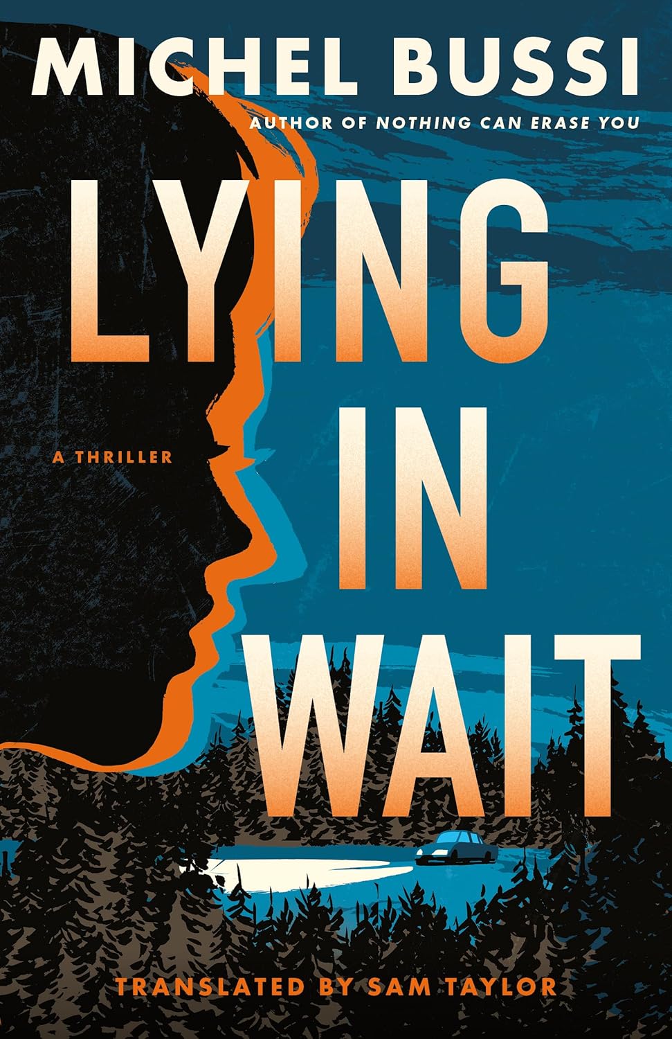 Lying-in-Wait-by-Michel-Bussi-PDF-EPUB.jpg