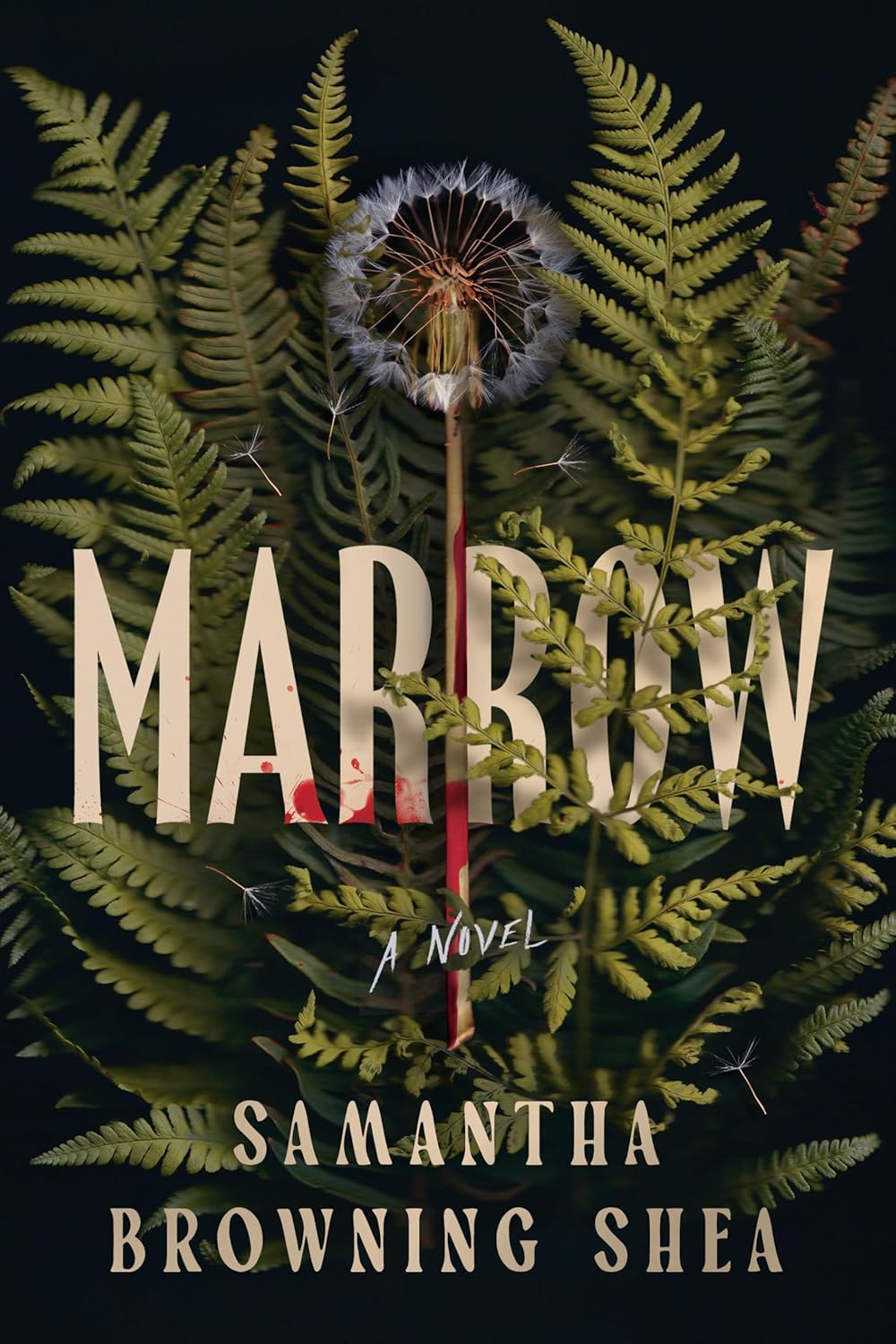 Marrow-by-Samantha-Browning-Shea-PDF-EPUB.jpg