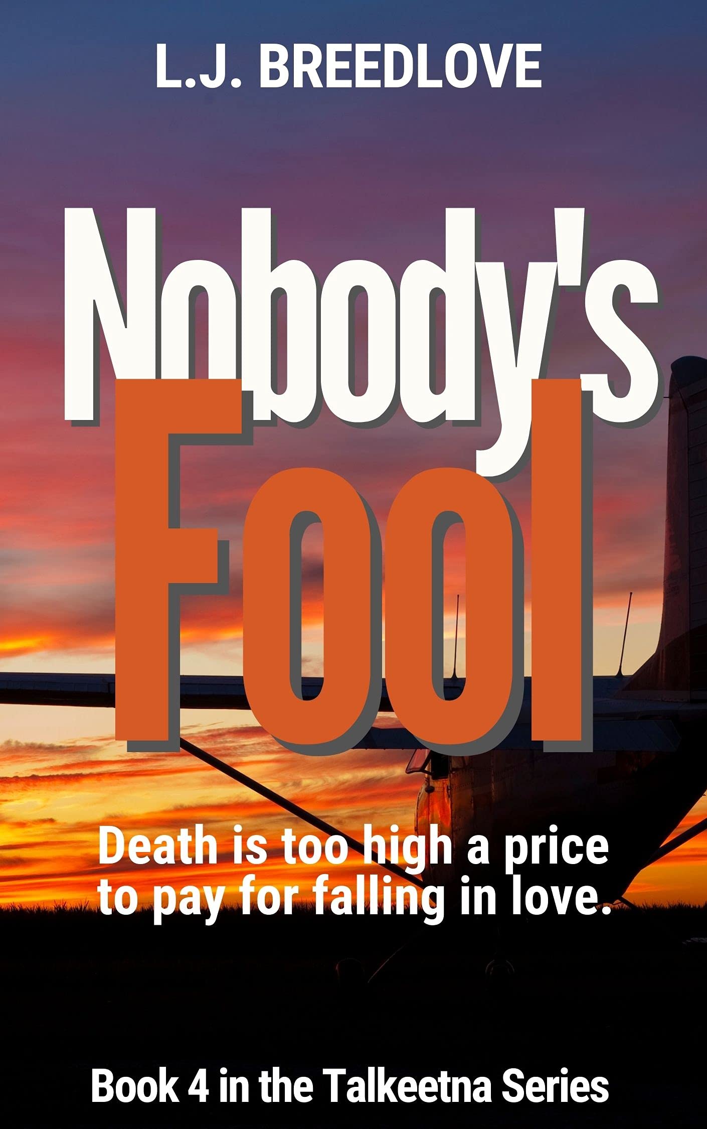 Nobody's-Fool-by-LJ-Breedlove-PDF-EPUB.jpg