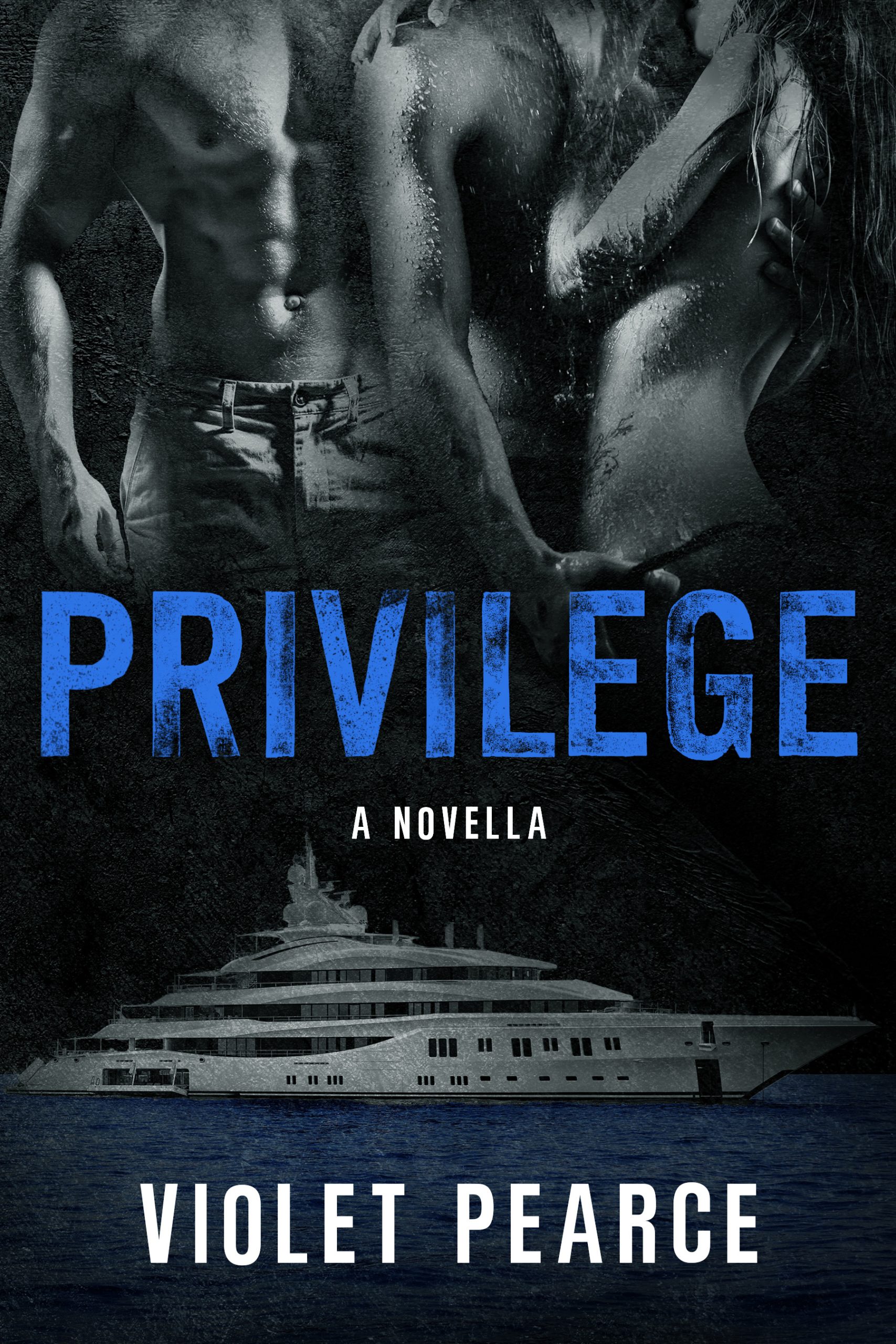 Privilege-by-Violet-Pearce-PDF-EPUB.jpg