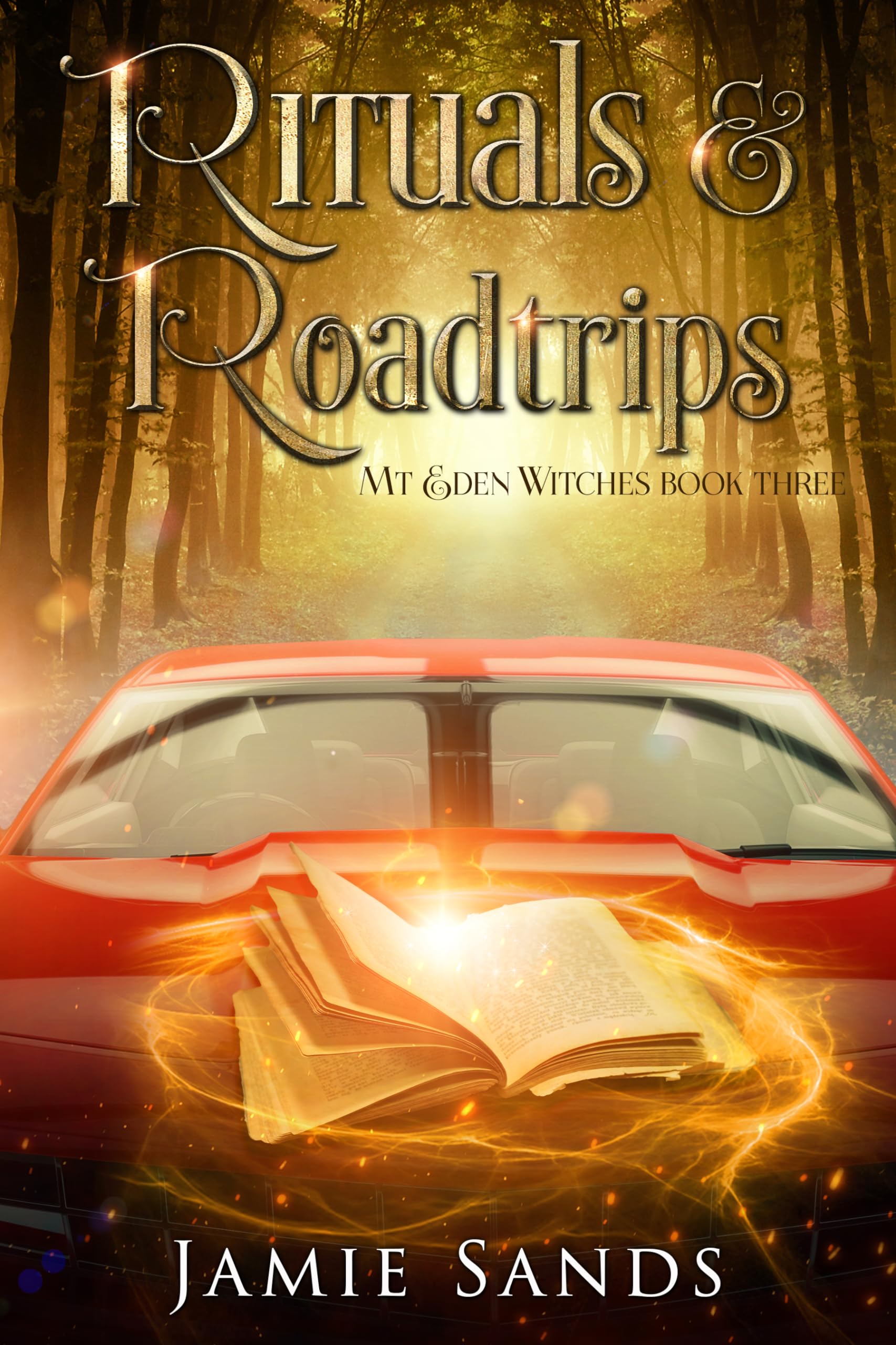 Rituals-and-Roadtrips-by-Jamie-Sands-PDF-EPUB.jpg