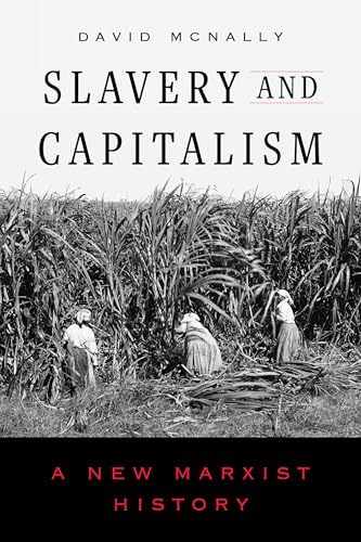 Slavery-and-Capitalism--A-New-Marxist-History-by-David-McNally-PDF-EPUB.jpg