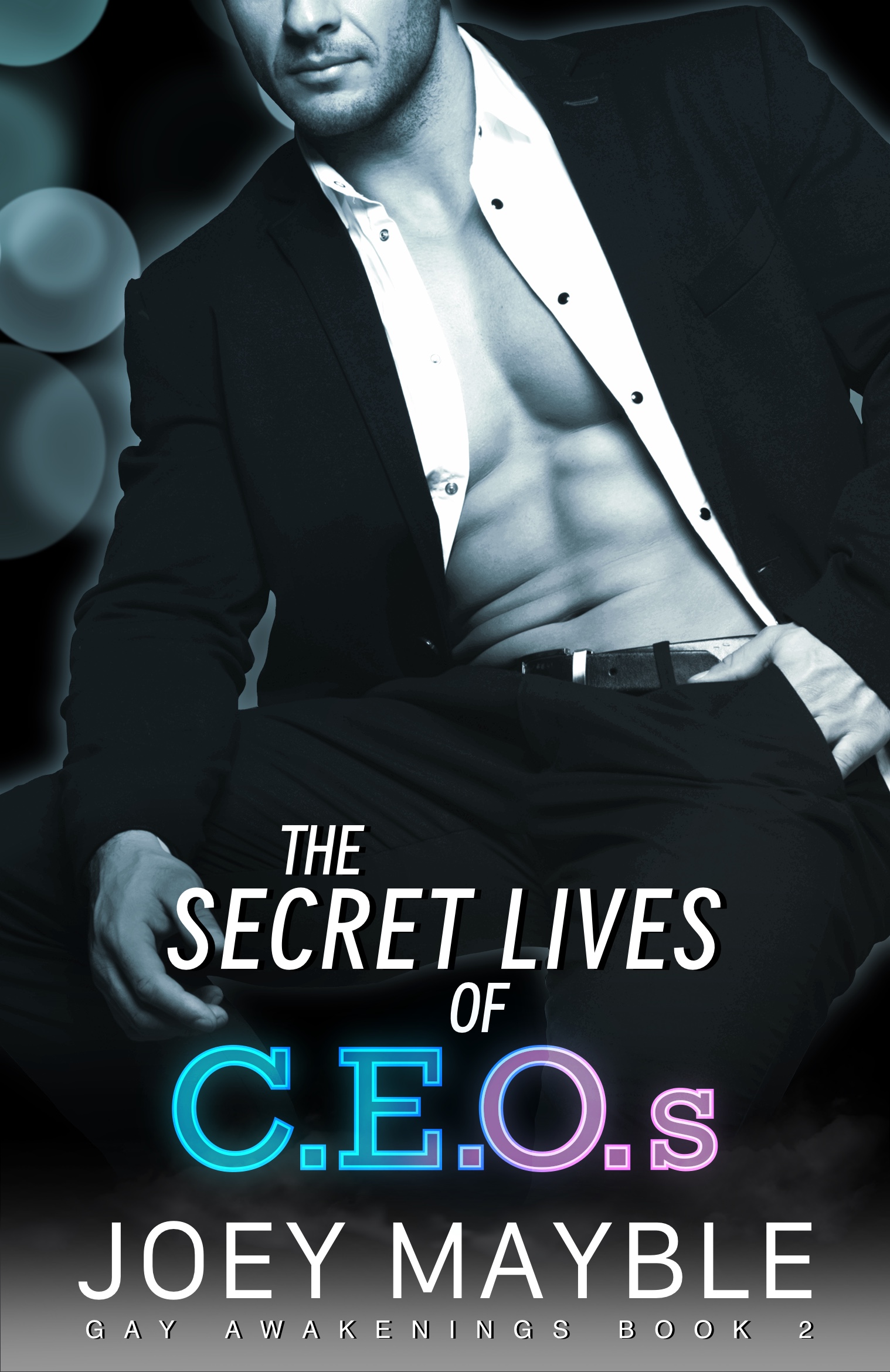 The-Secret-Lives-of-CEOs-by-Joey-Mayble-PDF-EPUB.jpg