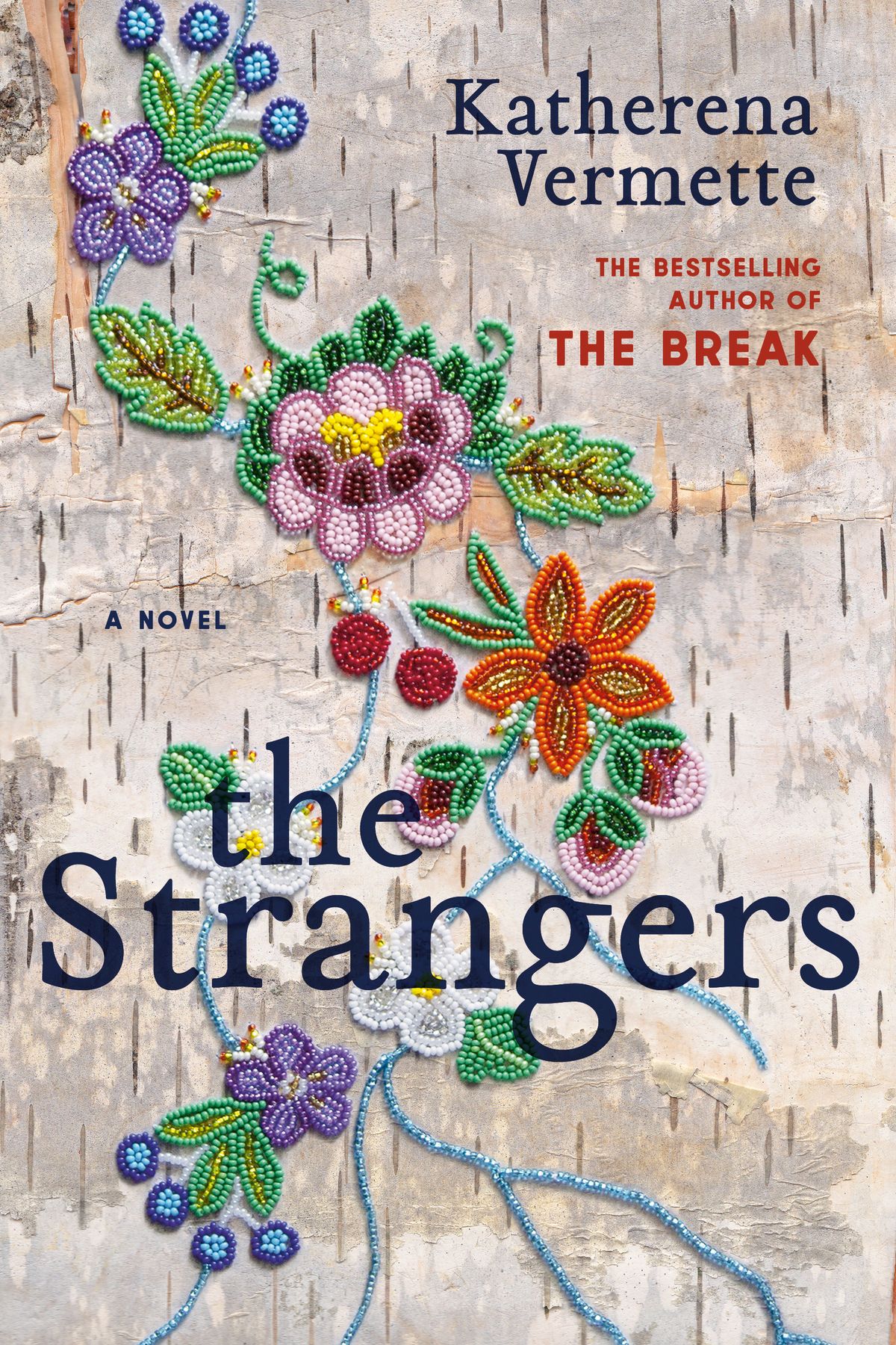 The-Strangers-by-Katherena-Vermette-PDF-EPUB.jpg