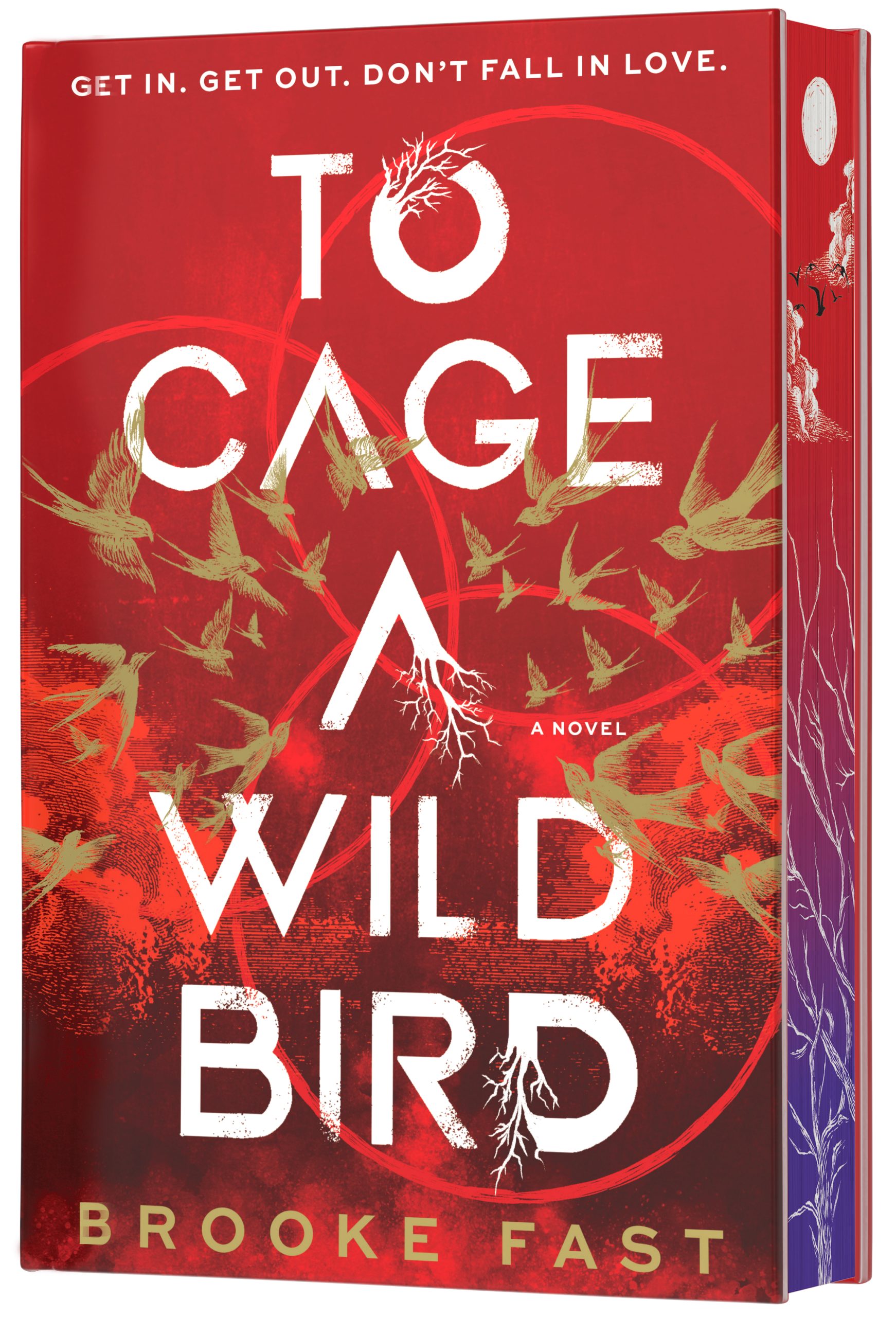 To-Cage-a-Wild-Bird-by-Brooke-Fast-PDF-EPUB.jpg