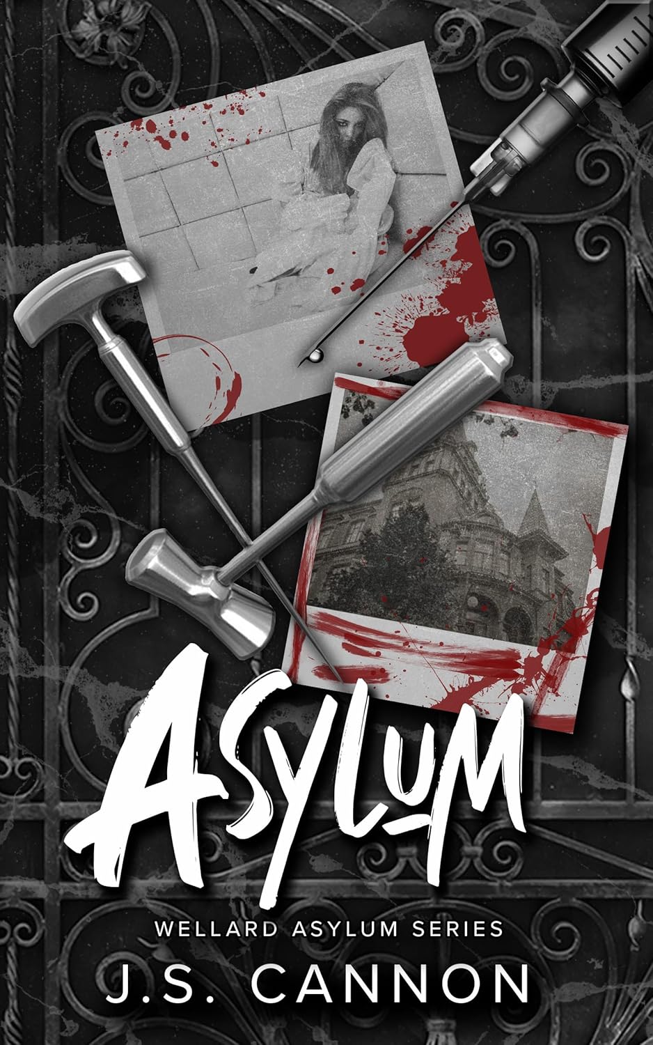 Asylum-by-JS-Cannon-PDF-EPUB.jpg
