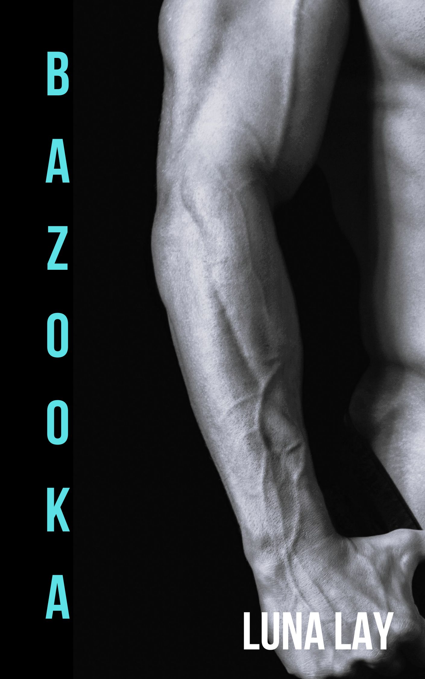 Bazooka-(The-Loser's-Division-#2)--M-M-Romance-by-Luna-Lay-PDF-EPUB.jpg