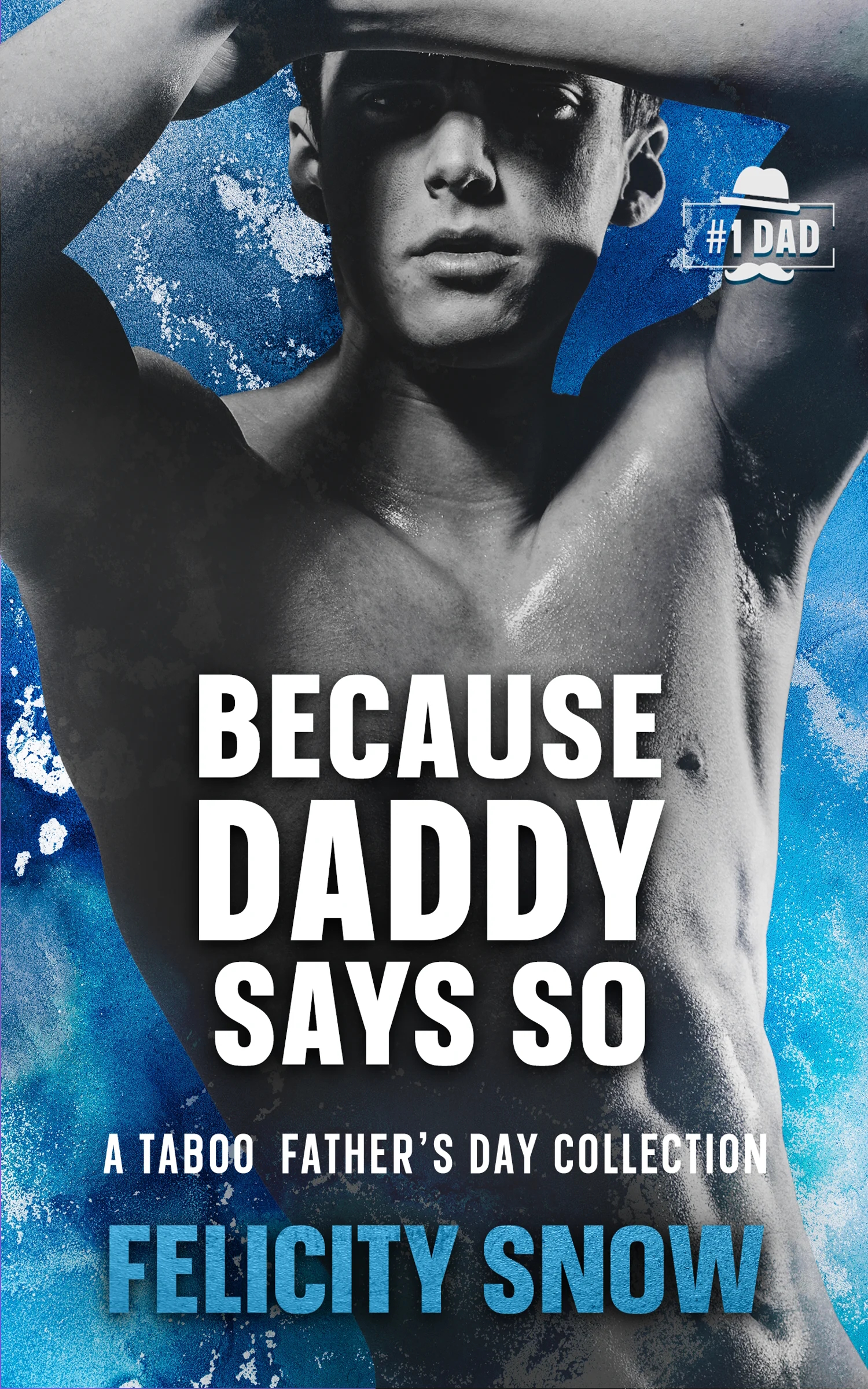Because-Daddy-Says-So-by-Felicity-Snow-PDF-EPUB.jpg