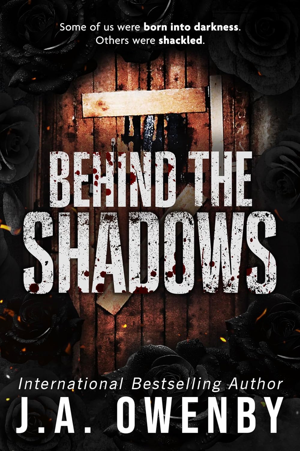 Behind-the-Shadows-by-JA-Owenby-PDF-EPUB.jpg