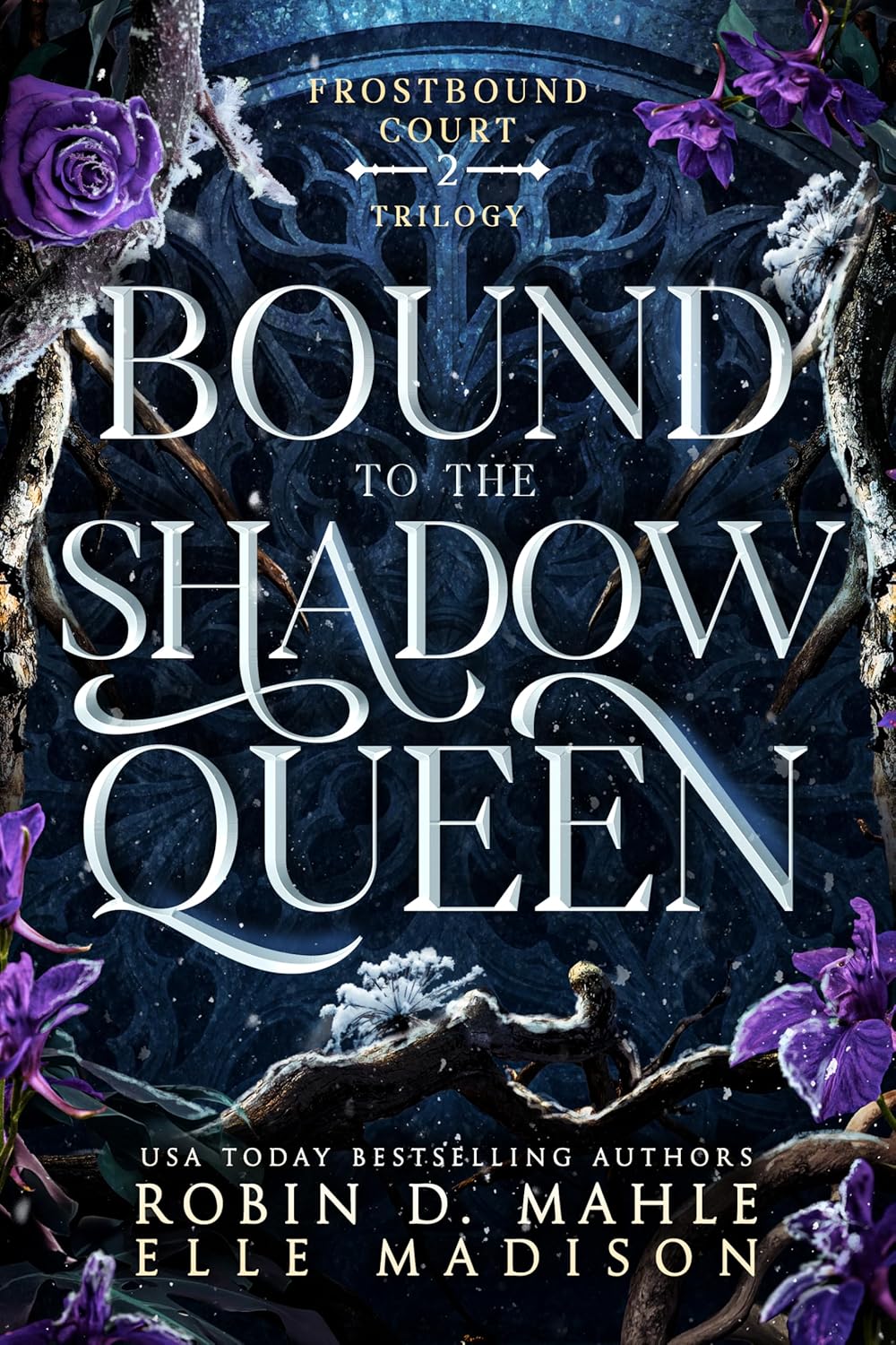 Bound-to-the-Shadow-Queen-by-Robin-D-Mahle-PDF-EPUB.jpg