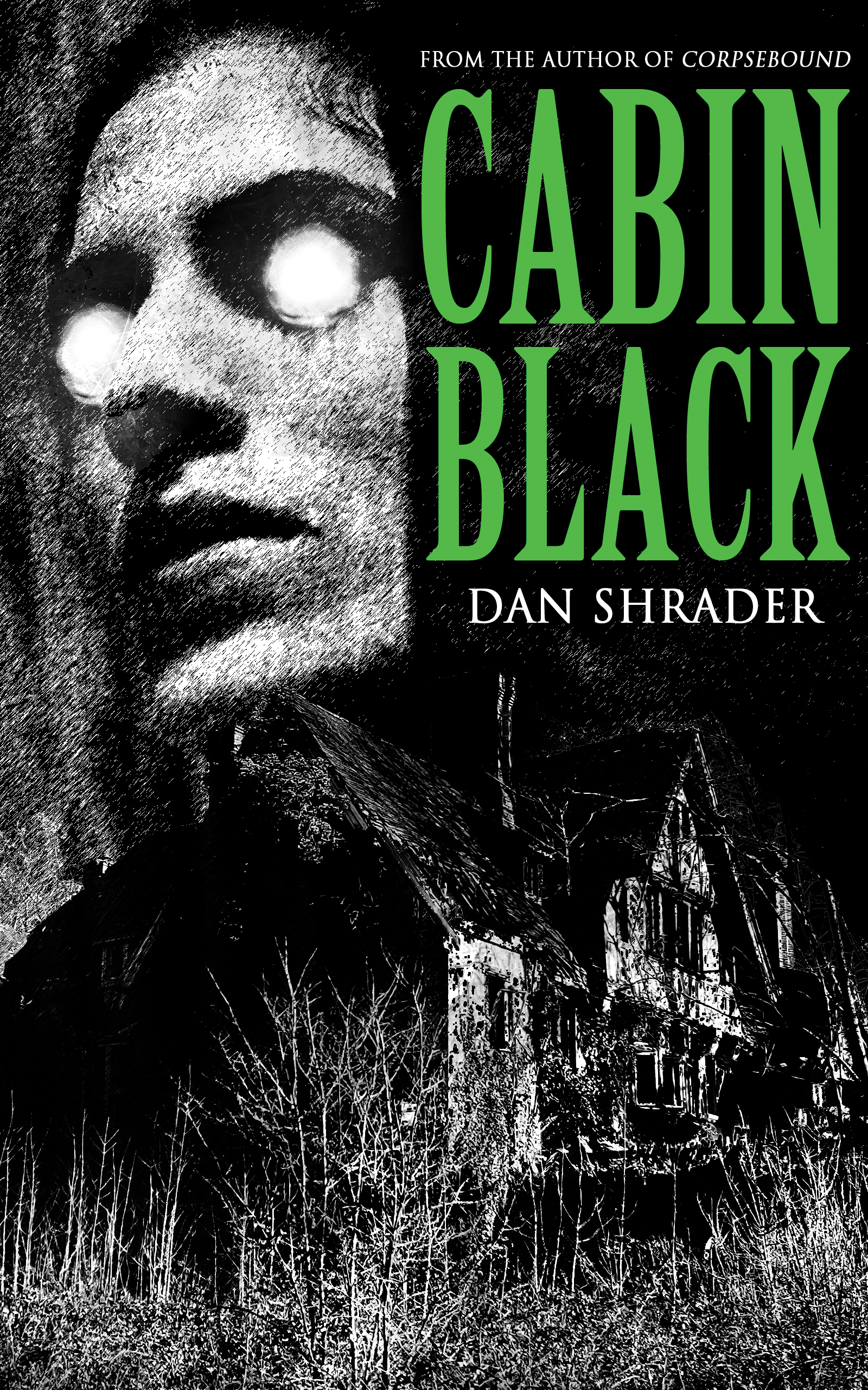 Cabin-Black-by-Dan-Shrader-PDF-EPUB.jpg