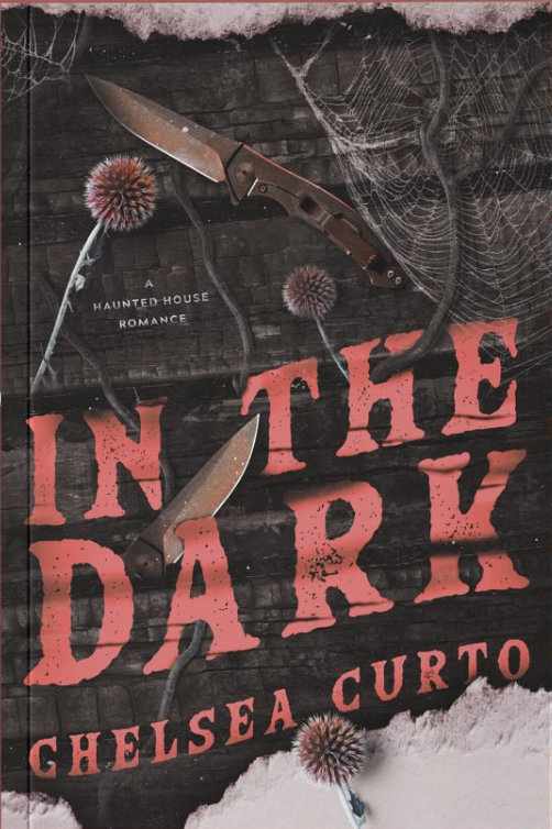 In-The-Dark-by-Chelsea-Curto-PDF-EPUB.jpg