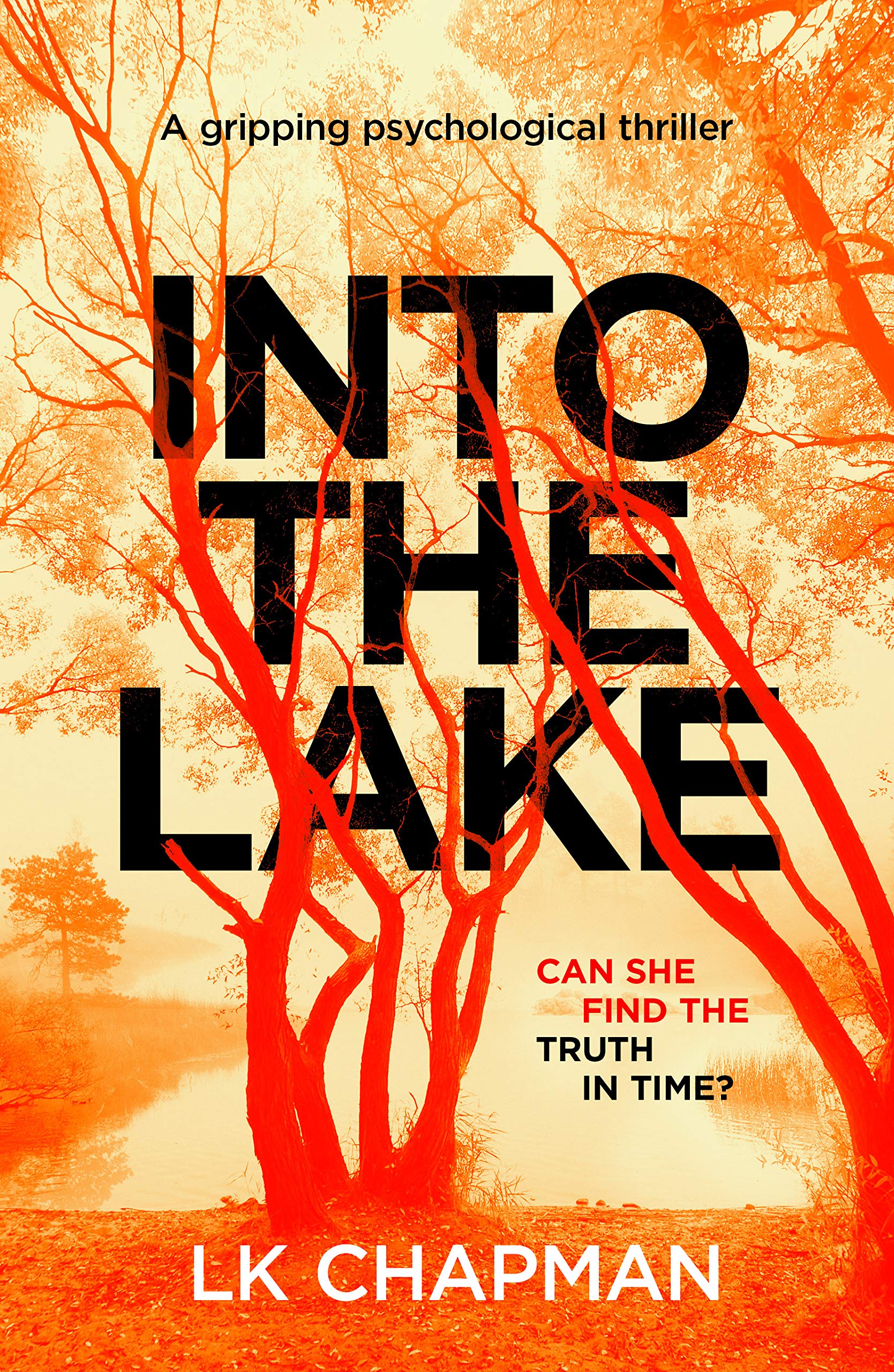 Into-The-Lake-by-LK-Chapman-PDF-EPUB.jpg