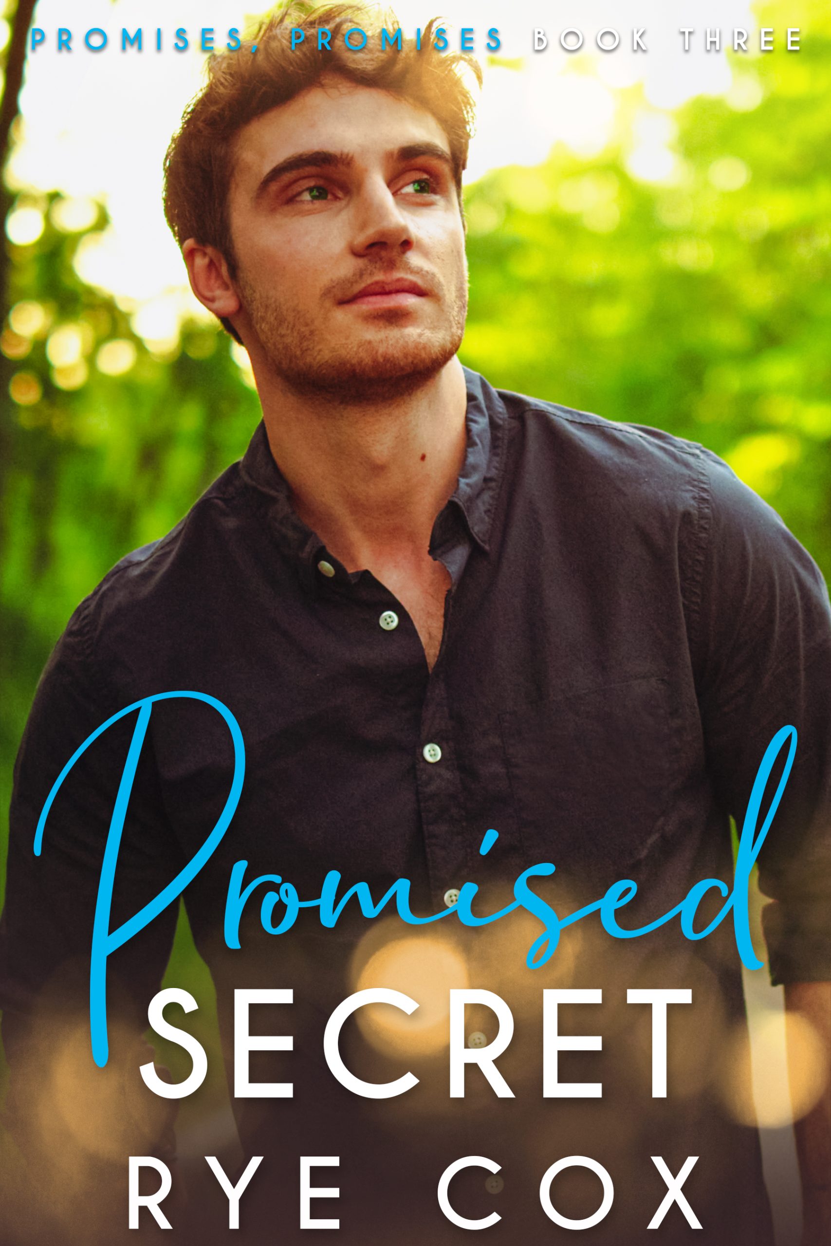 Promised-Secret-by-Rye-Cox-PDF-EPUB.jpg