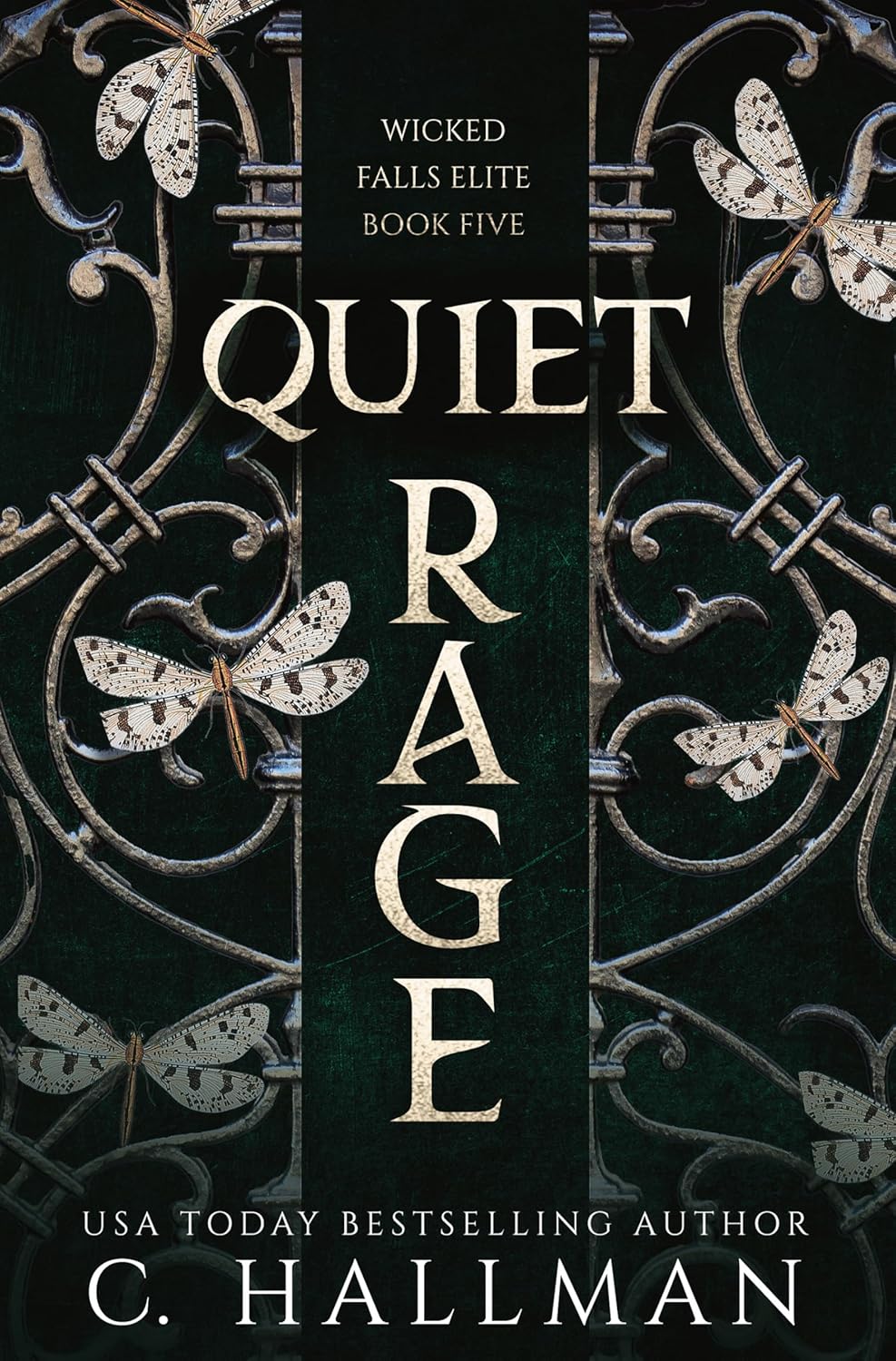Quiet-Rage-by-C-Hallman-PDF-EPUB.jpg