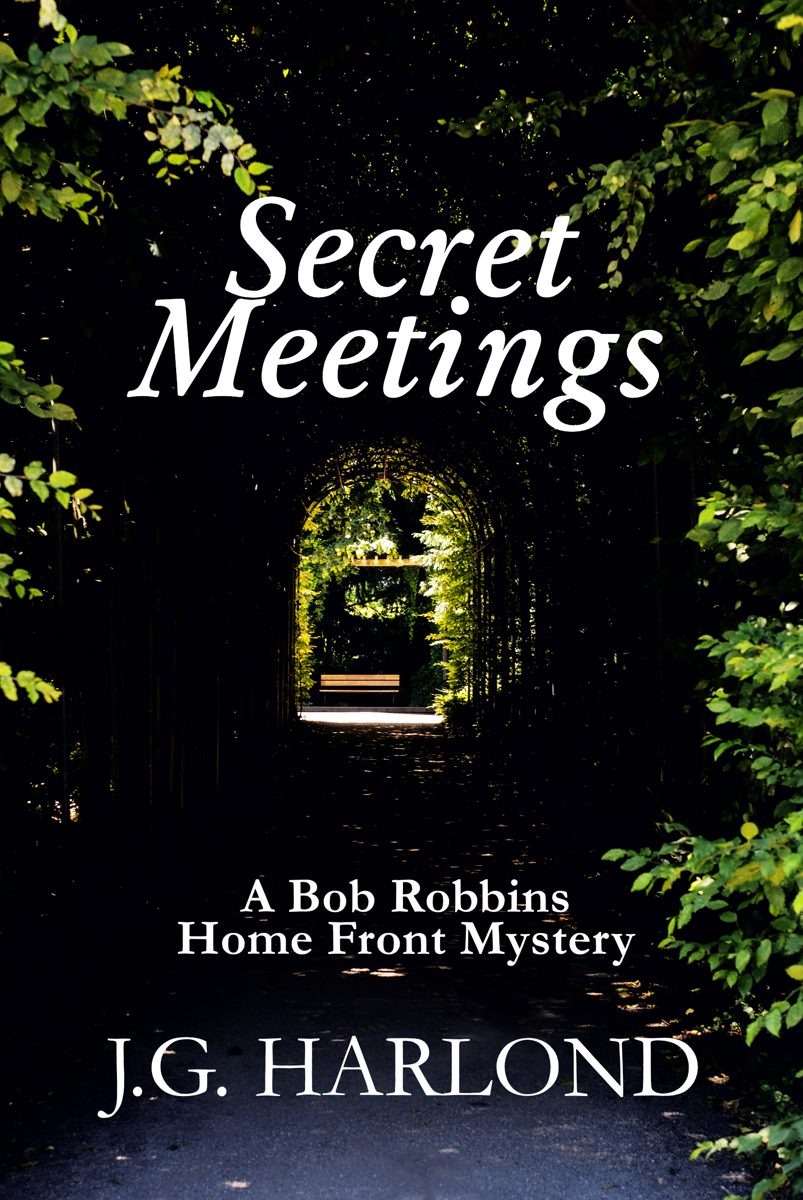 Secret-Meetings-by-JG-Harlond-PDF-EPUB.jpg