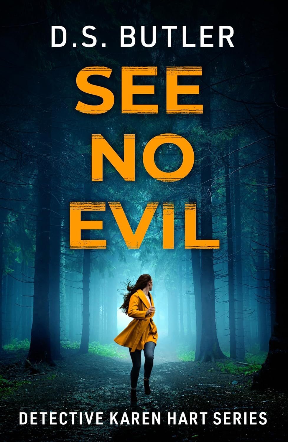 See-No-Evil-by-DS-Butler-PDF-EPUB.jpg