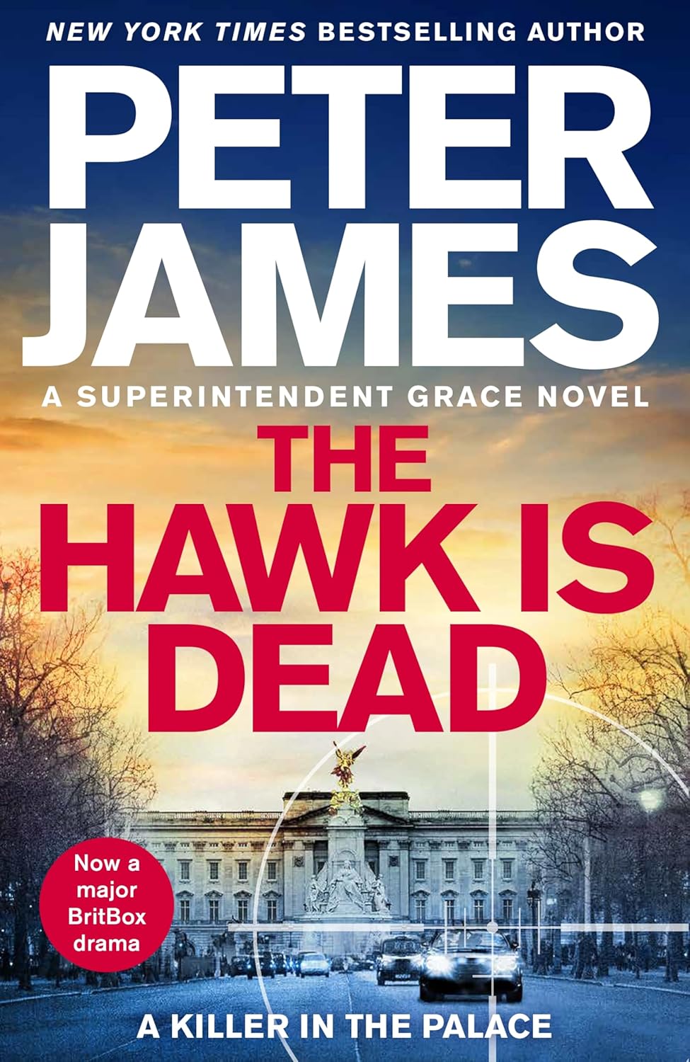 The-Hawk-Is-Dead-by-Peter-James-PDF-EPUB.jpg