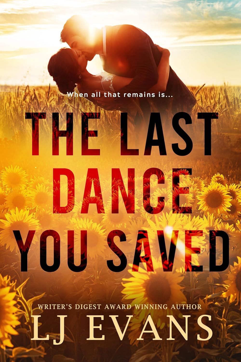 The-Last-Dance-You-Saved-by-LJ-Evans-PDF-EPUB.jpg