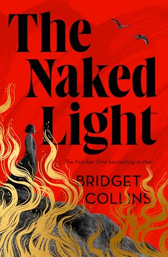 The-Naked-Light-by-Bridget-Collins-PDF-EPUB.jpg