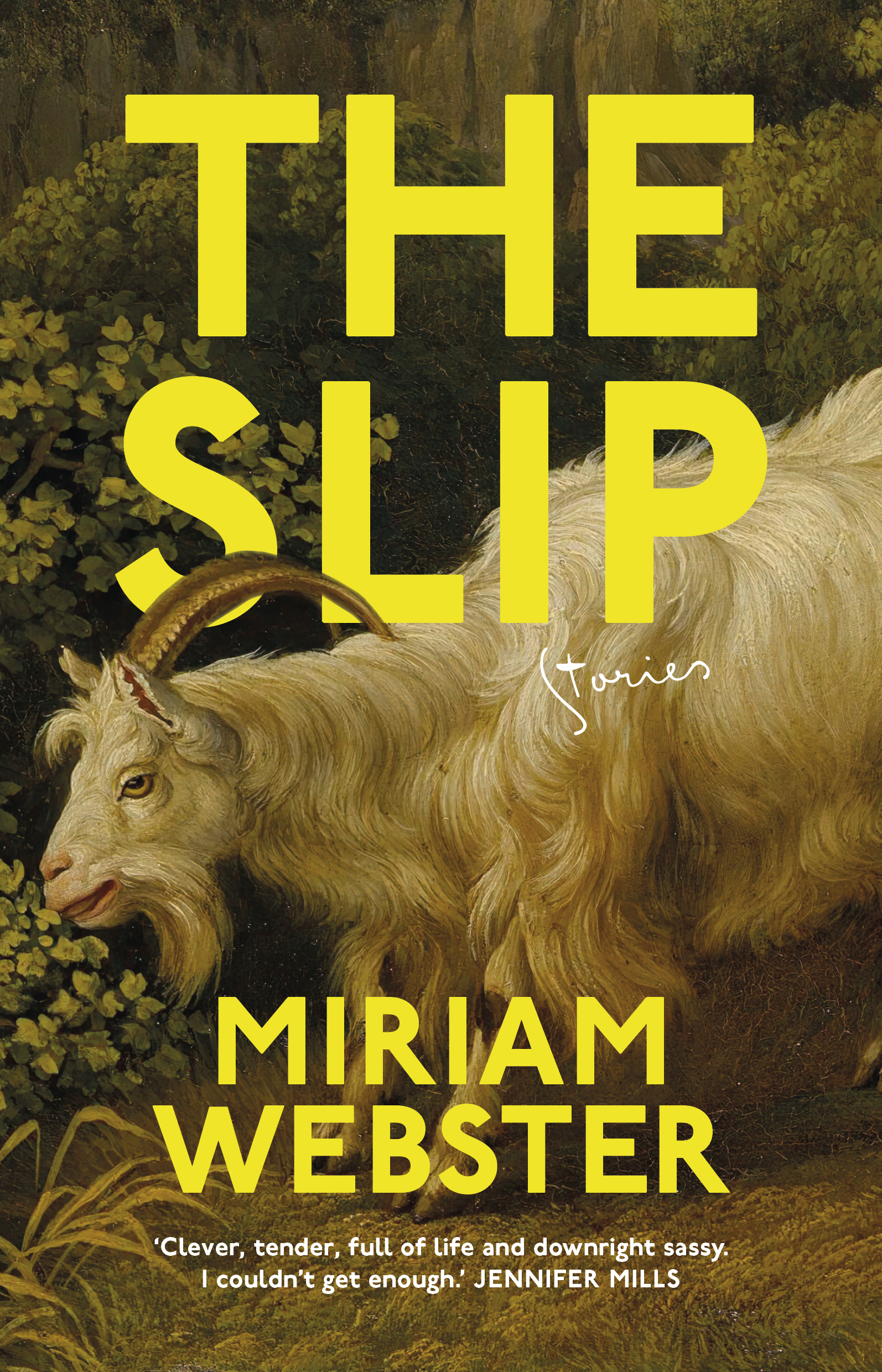 The-Slip-by-Miriam-Webster-PDF-EPUB.jpg
