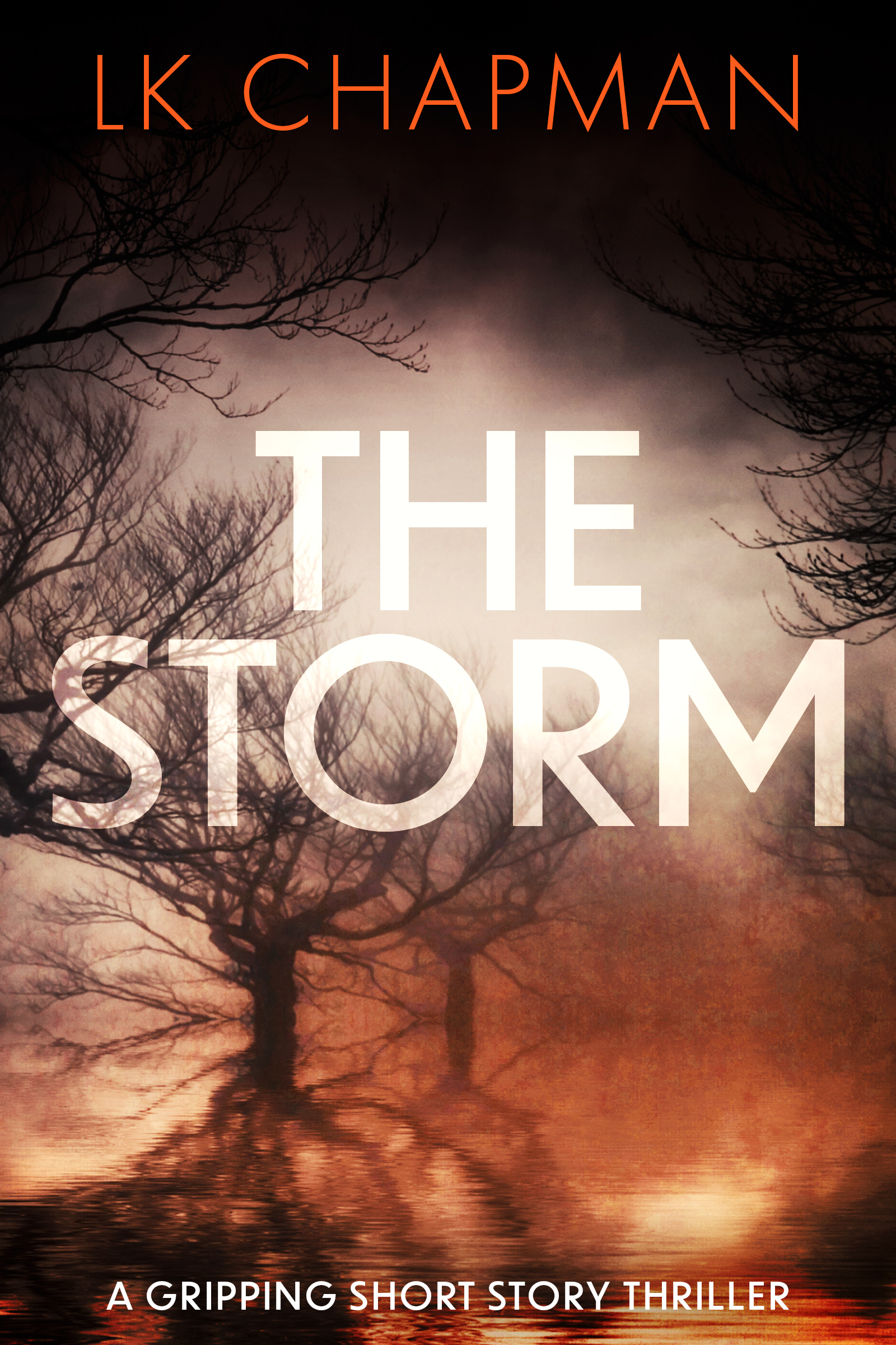 The-Storm-by-LK-Chapman-PDF-EPUB.jpg