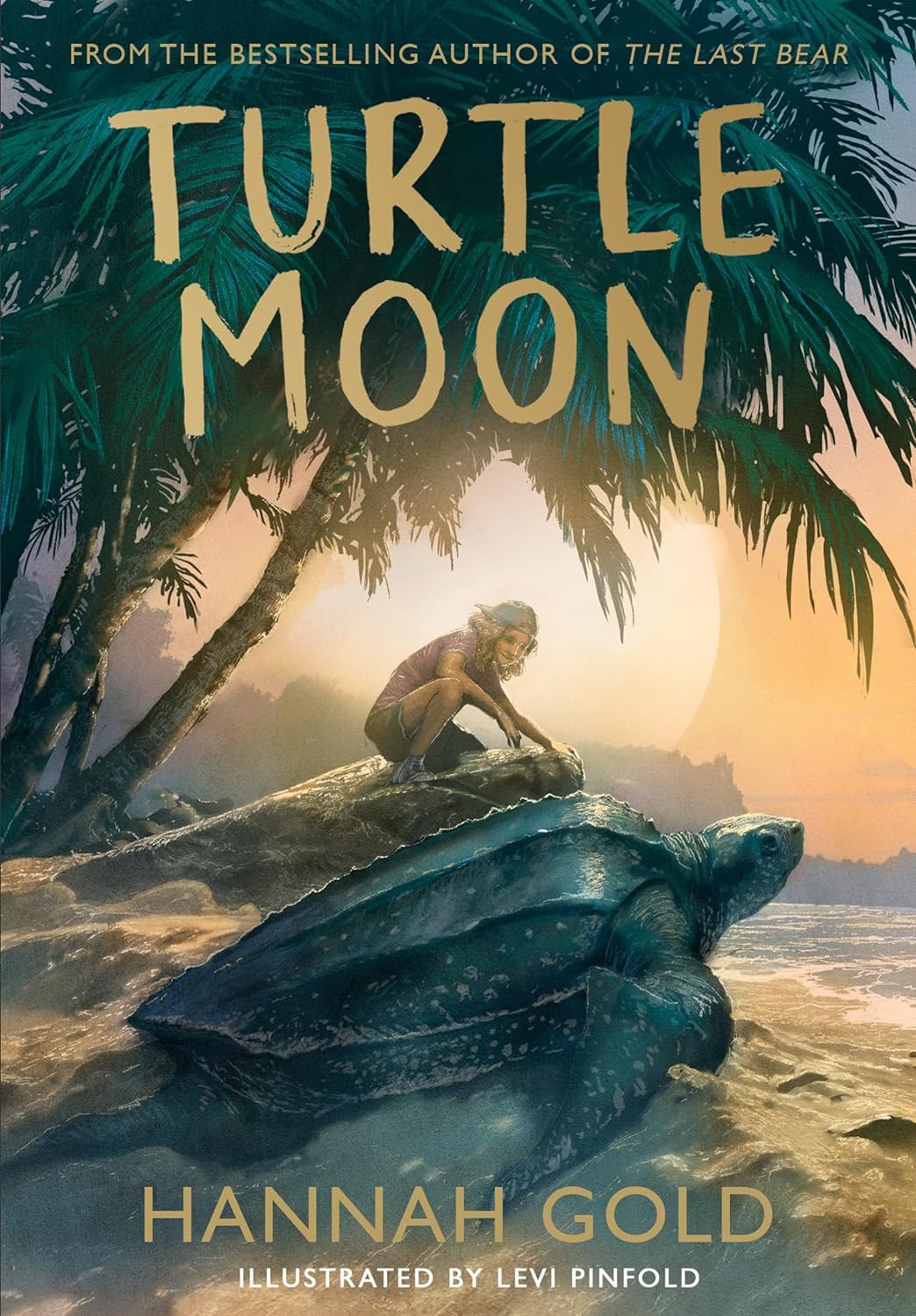 Turtle-Moon-by-Hannah-Gold-PDF-EPUB.jpg