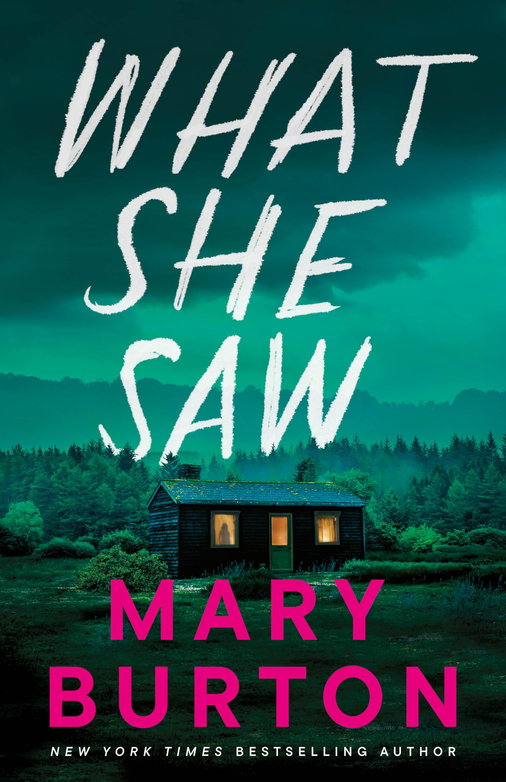 What-She-Saw-by-Mary-Burton-PDF-EPUB.jpg