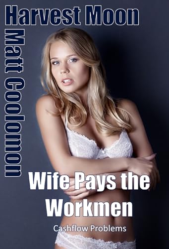 Wife-Pays-the-Workmen--Cashflow-Problems-by-Matt-Coolomon-PDF-EPUB.jpg