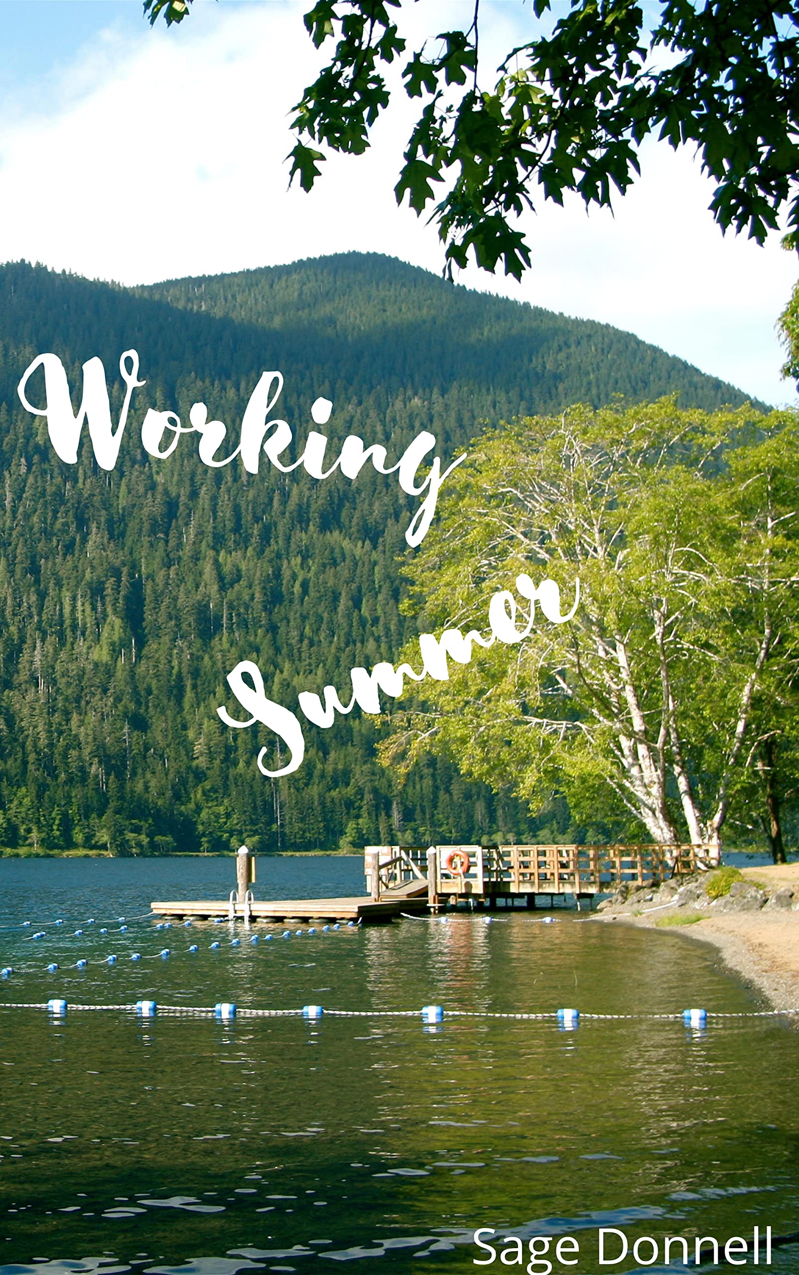 Working-Summer-by-Sage-Donnell-PDF-EPUB.jpg