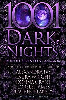 1001-Dark-Nights--Bundle-Seventeen-by-Alexandra-Ivy-PDF-EPUB.jpg