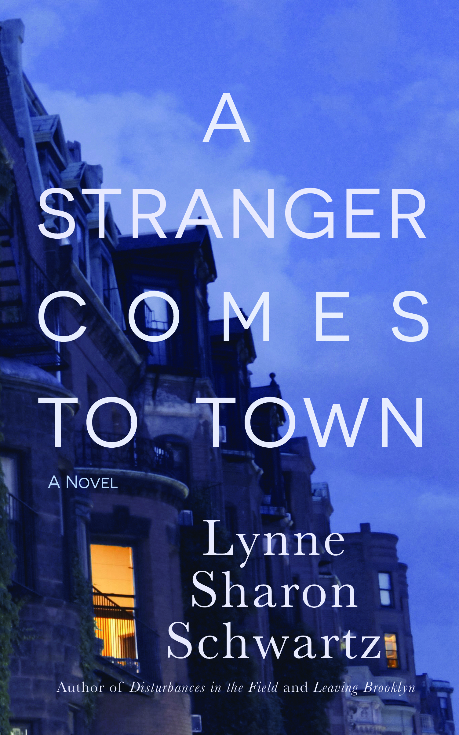 A-Stranger-Comes-to-Town-by-Lynne-Sharon-Schwartz-PDF-EPUB.jpg