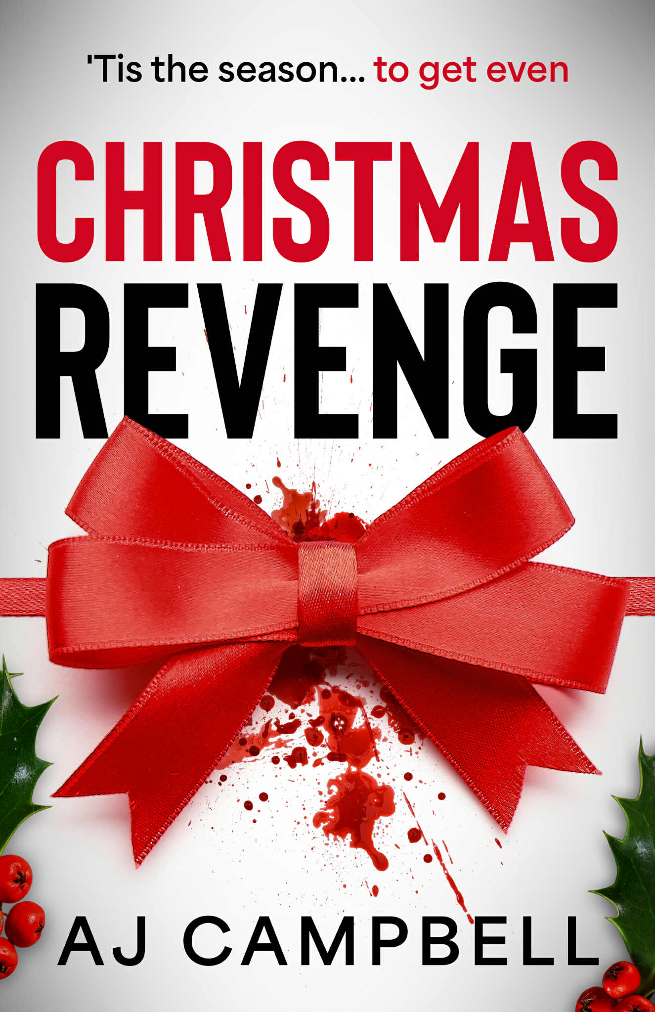Christmas-Revenge-by-AJ-Campbell-PDF-EPUB.jpg