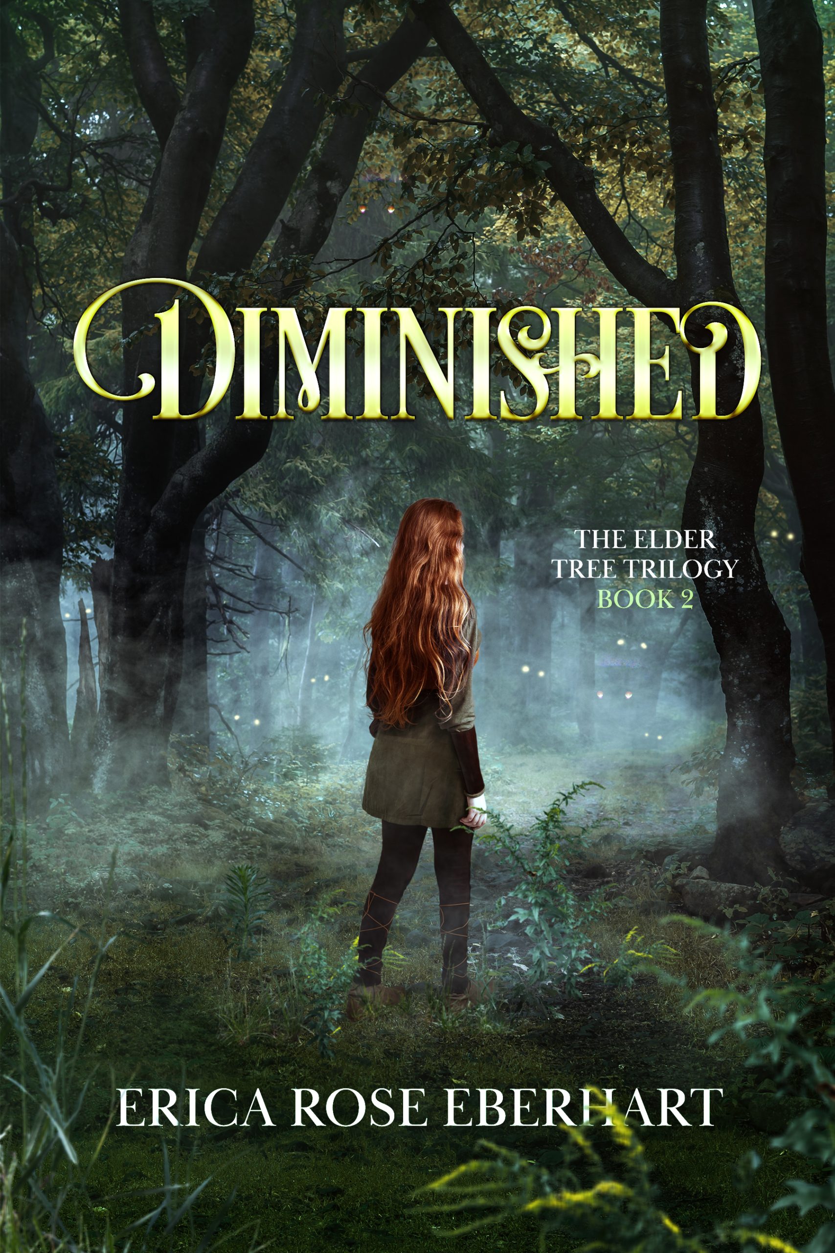 Diminished-by-Erica-Rose-Eberhart-PDF-EPUB.jpg