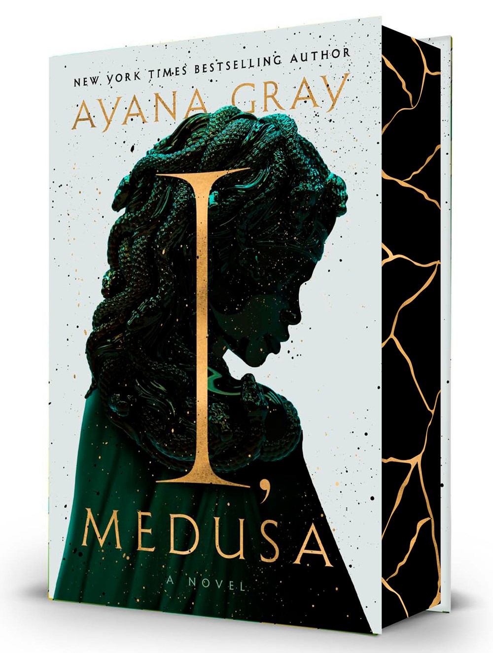 I-Medusa-by-Ayana-Gray-PDF-EPUB.jpg