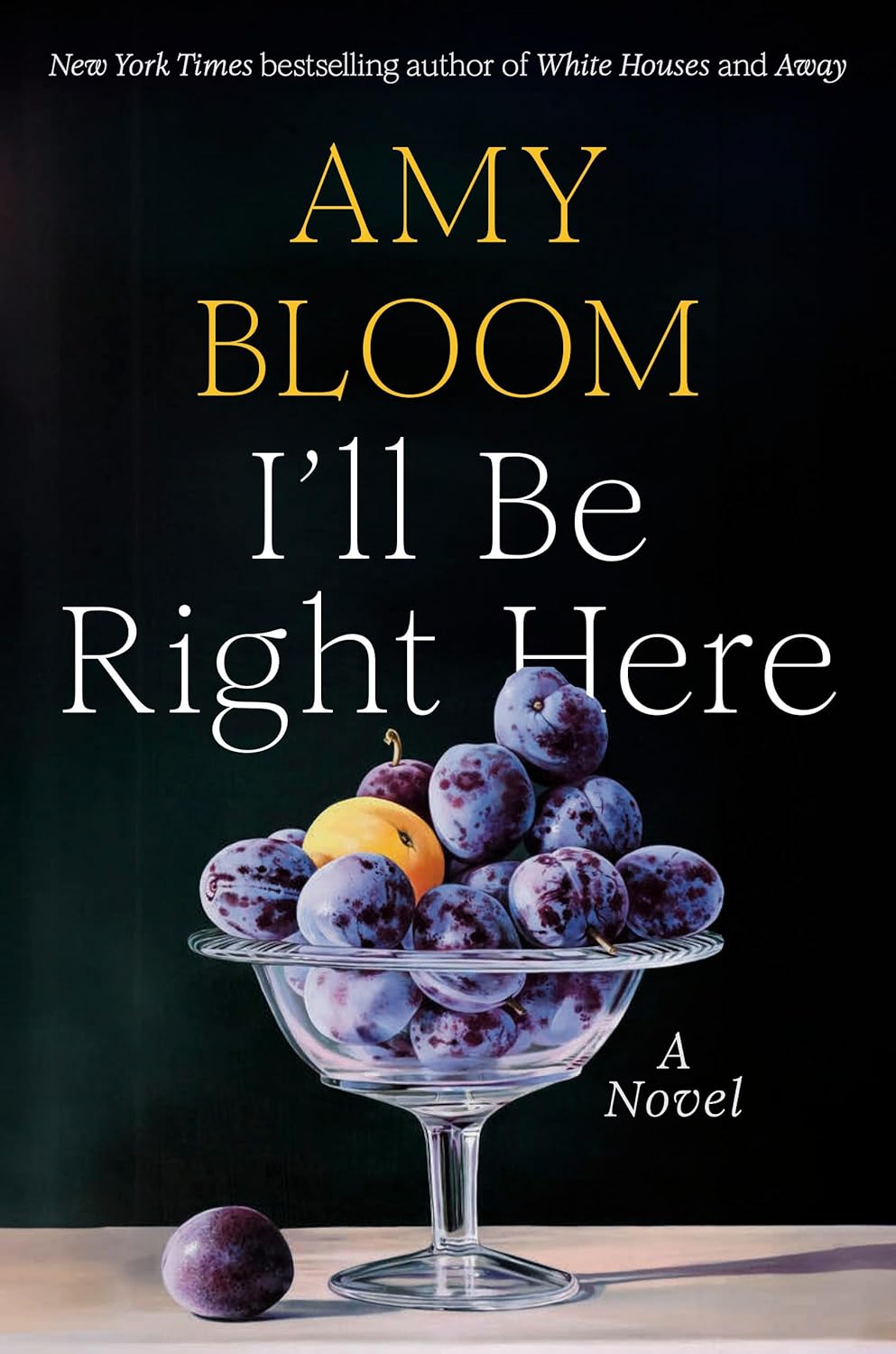 I'll-Be-Right-Here-by-Amy-Bloom-PDF-EPUB.jpg
