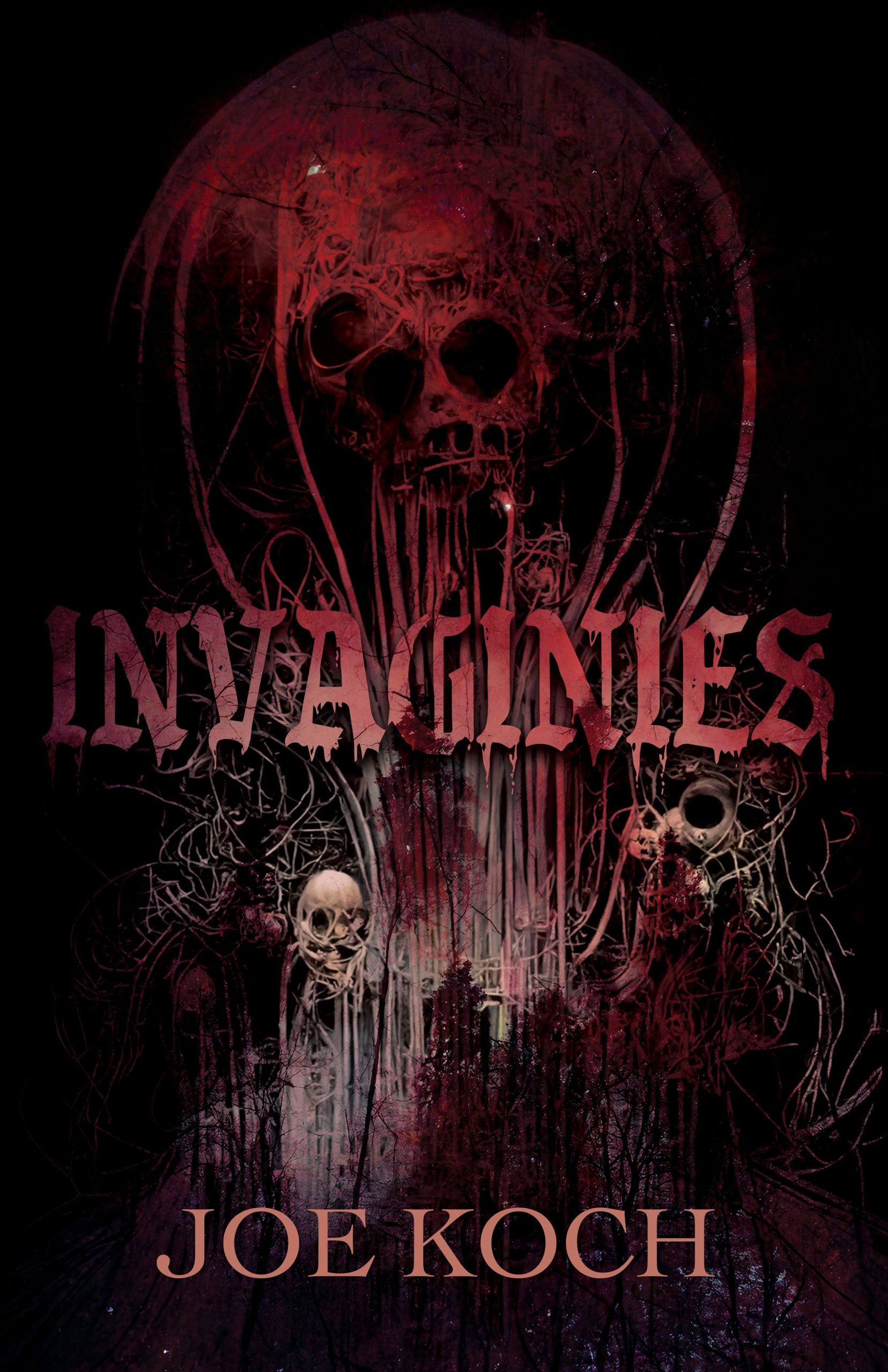 Invaginies-by-Joe-Koch-PDF-EPUB.jpg