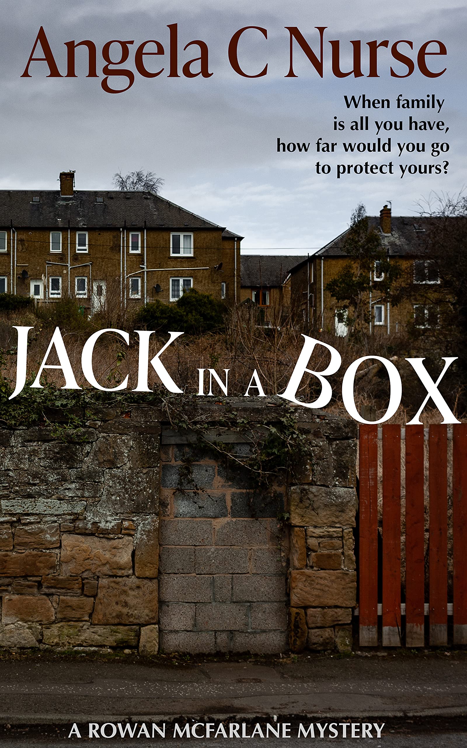 Jack-In-A-Box-by-Angela-C-Nurse-PDF-EPUB.jpg