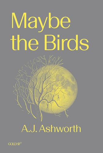 Maybe-the-Birds-by-AJ-Ashworth-PDF-EPUB.jpg